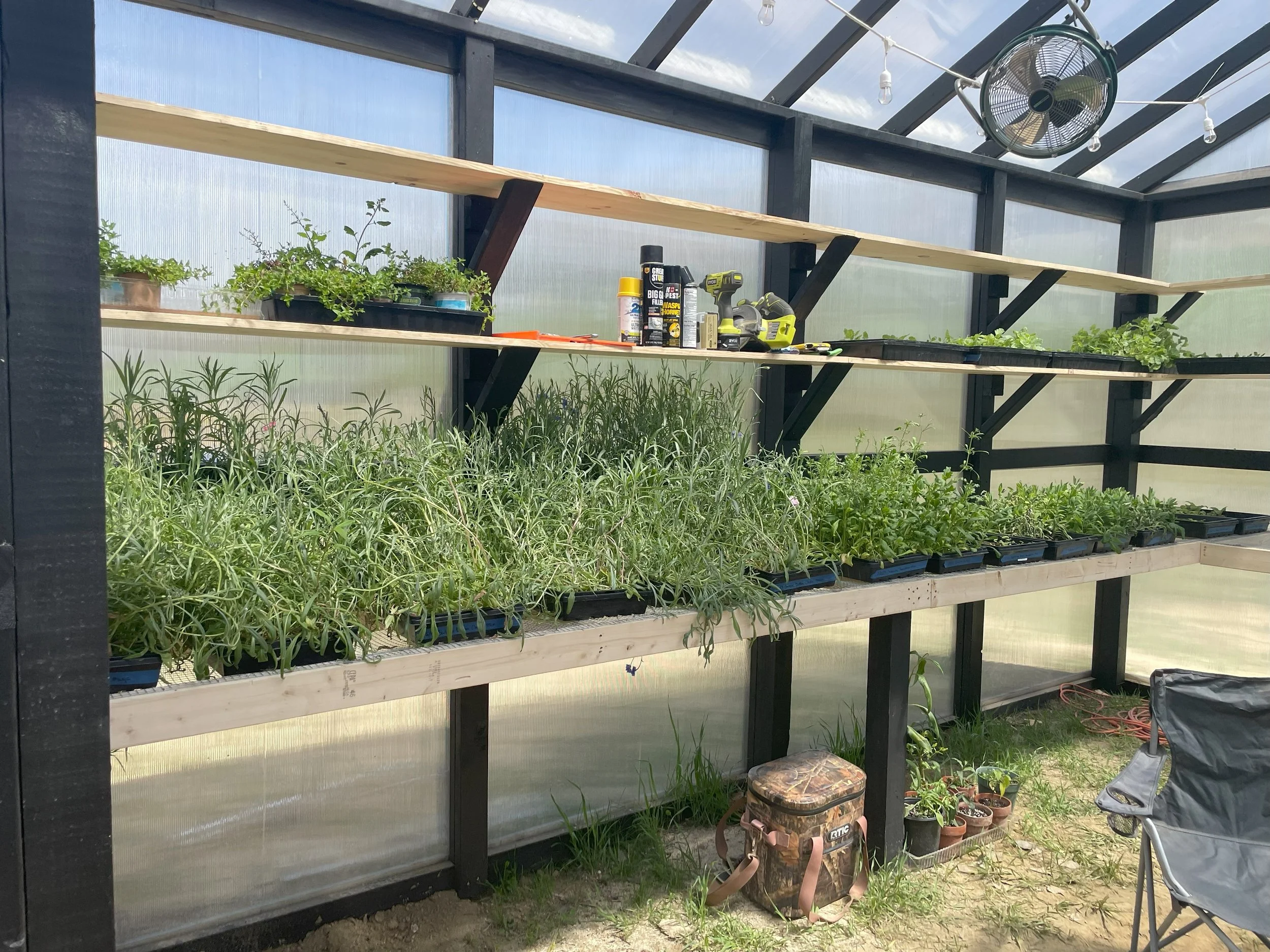Inside a greenhouse with wooden shelves holding potted plants, gardening tools, and equipment. A backpack and folding chair are on the ground.