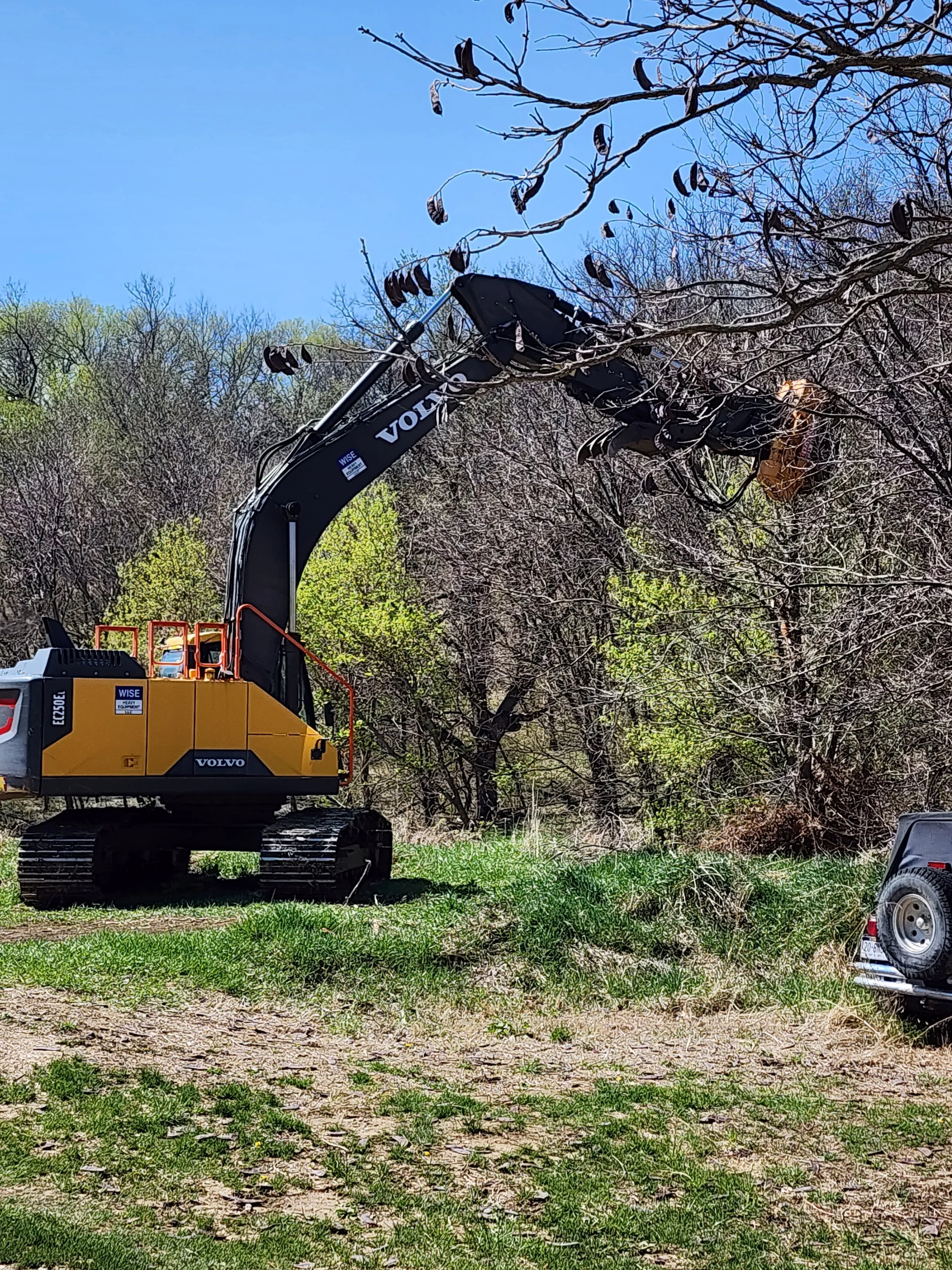 A yellow and black Volvo excavator with the brand name visible, working in a wooded outdoor area, lifting tree branches. There is a black vehicle partially visible on the right side and a blue sky overhead.