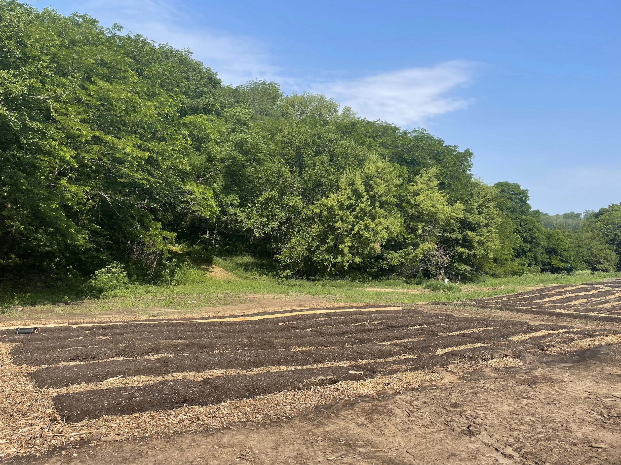 A field with freshly tilled soil in the foreground and lush green trees along the edge of the forest in the background under a clear blue sky.