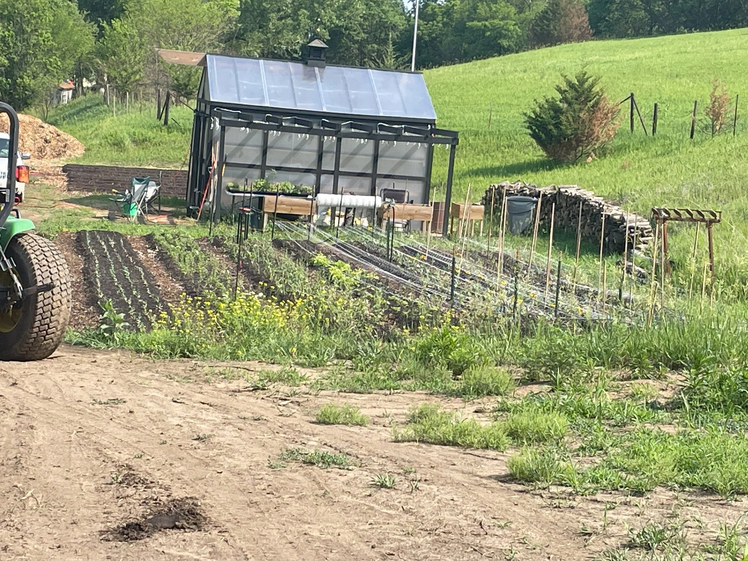 A small farm with a greenhouse, vegetable garden, and stacked firewood located on a grassy hillside.