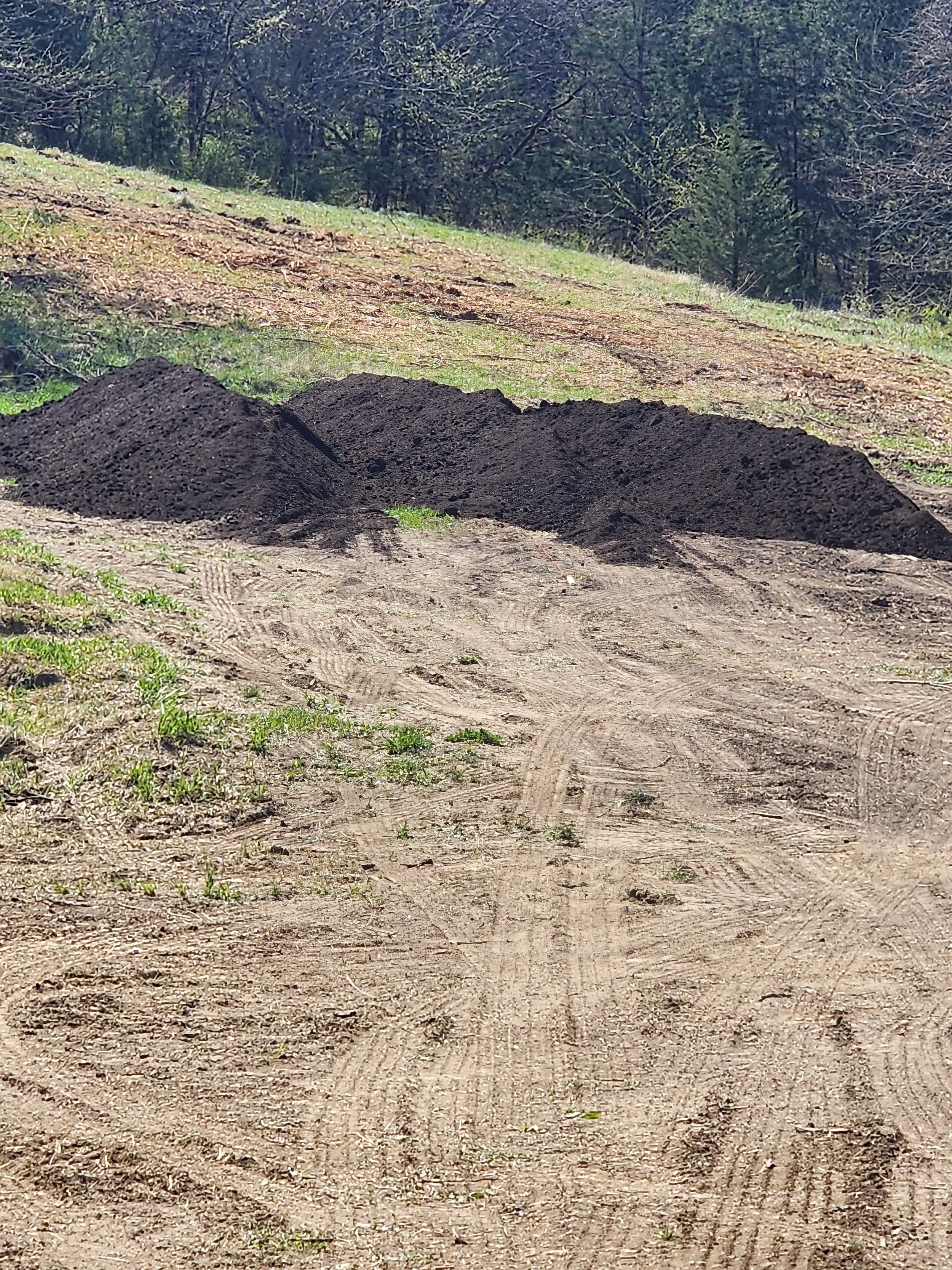 Piles of dark soil on a dirt path in a wooded area with trees in the background.