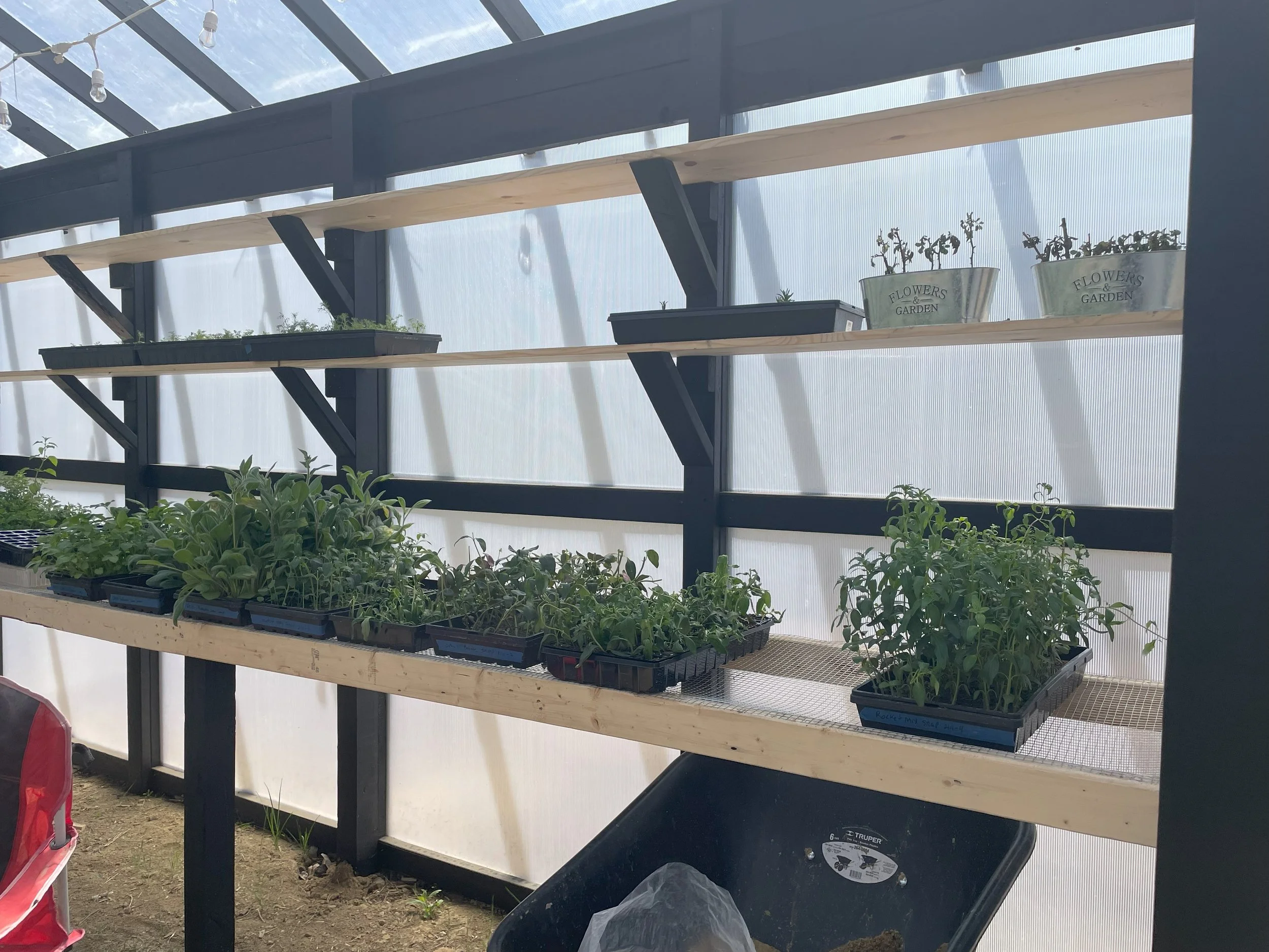Indoor greenhouse with wooden shelves holding potted plants, some labeled "Flowers & Garden", with sunlight filtering through a translucent roof.