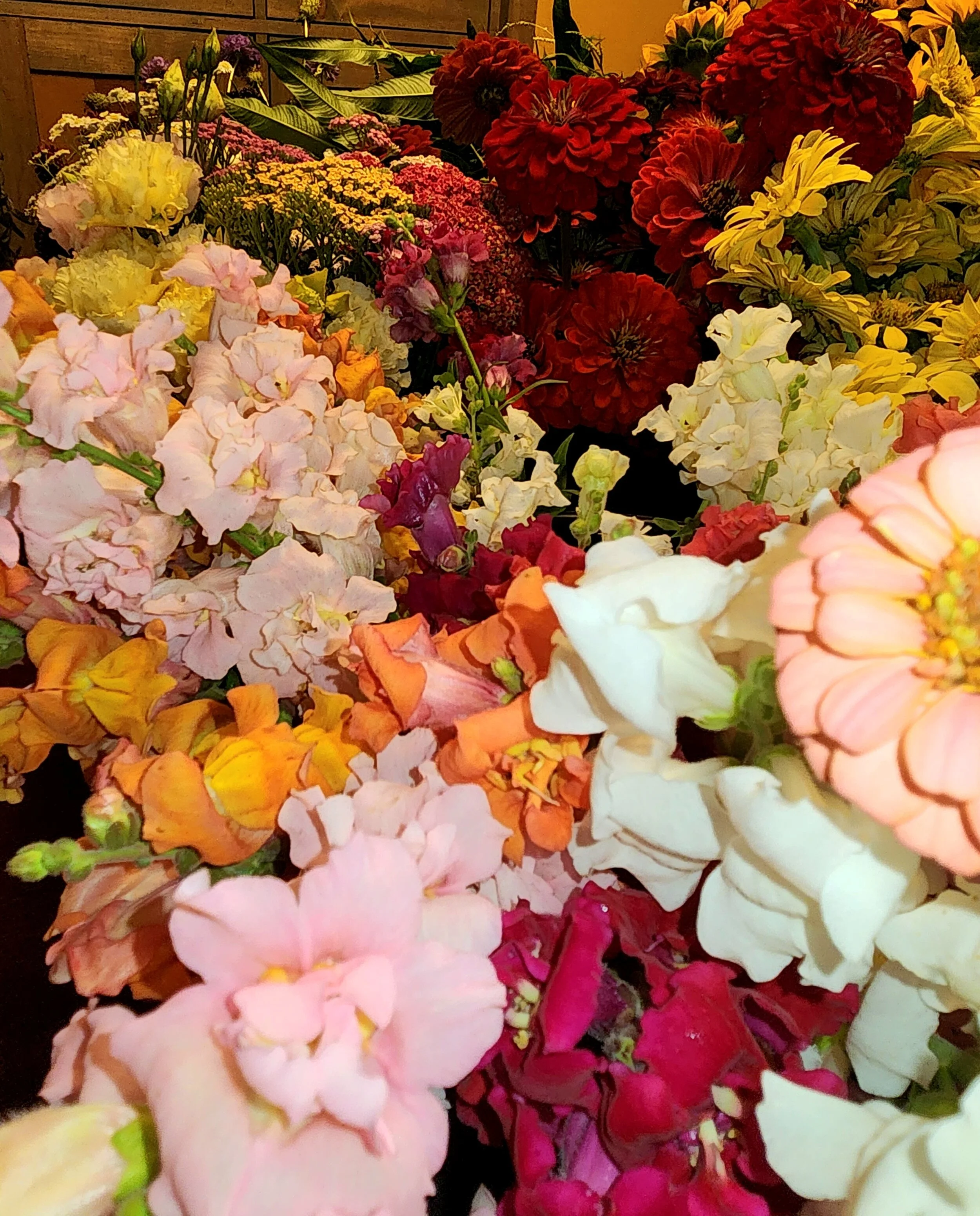 A close-up of various colorful flowers including pink, yellow, orange, white, red, and purple blooms in a floral display.