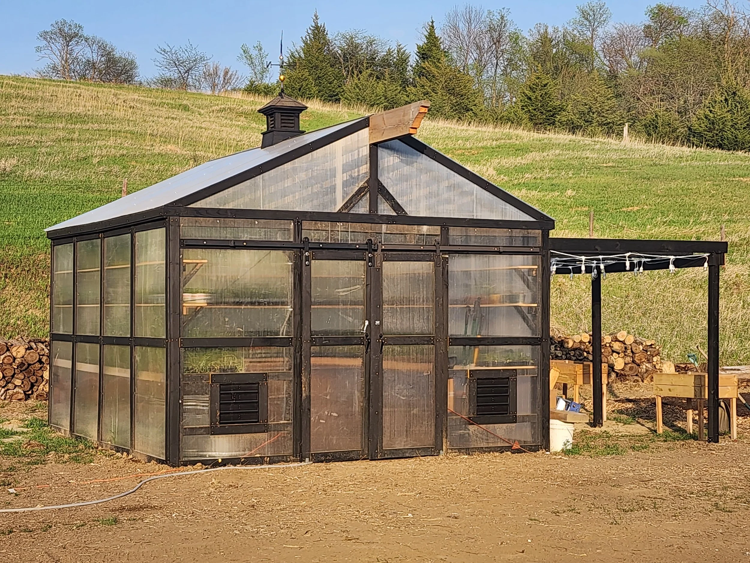 A greenhouse with a sloped roof and a black frame, situated on a dirt surface with stacked firewood and trees in the background.