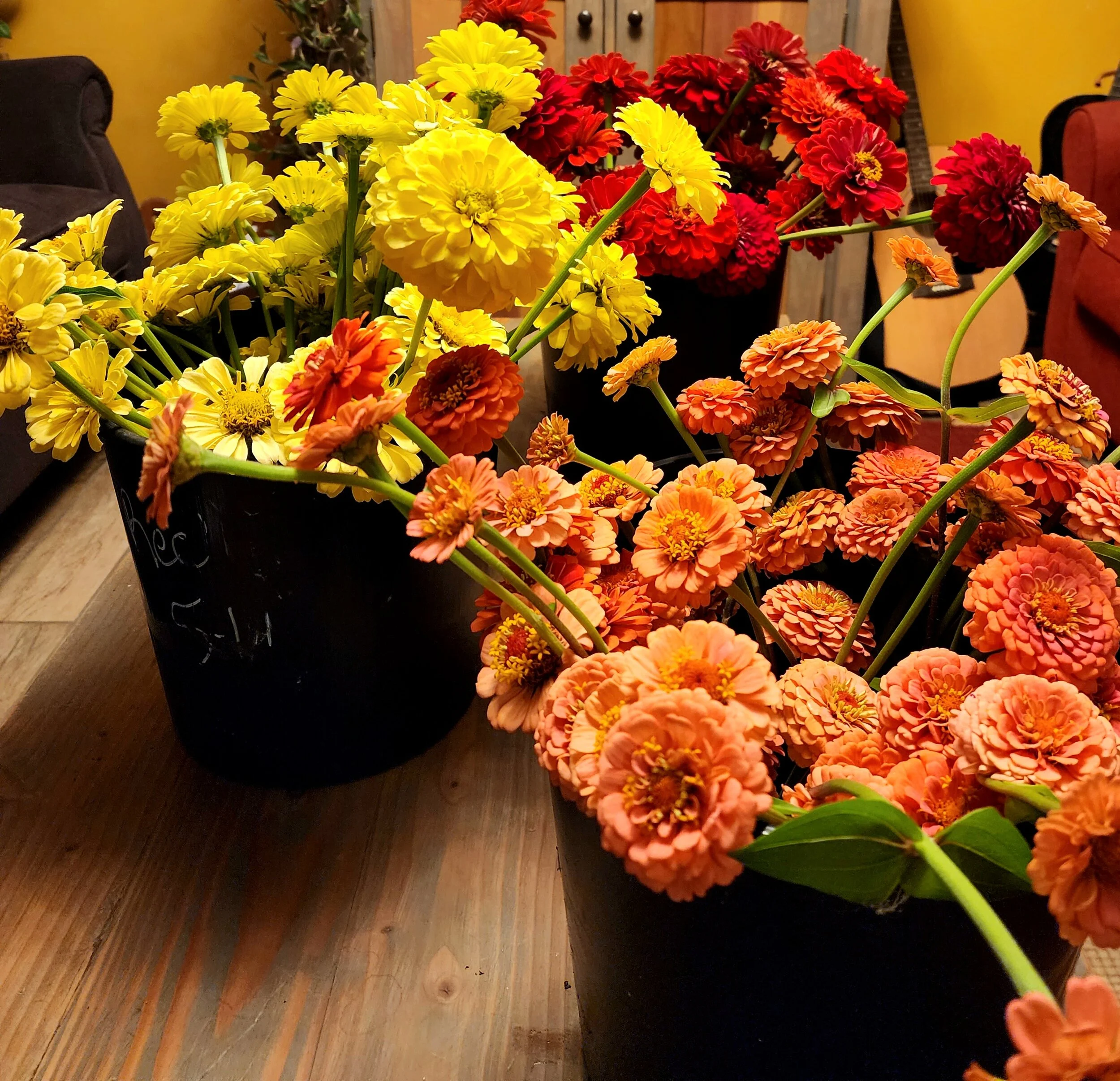 Two black pots filled with yellow, orange, and red flowers on a wooden table, with a yellow wall and furniture in the background.