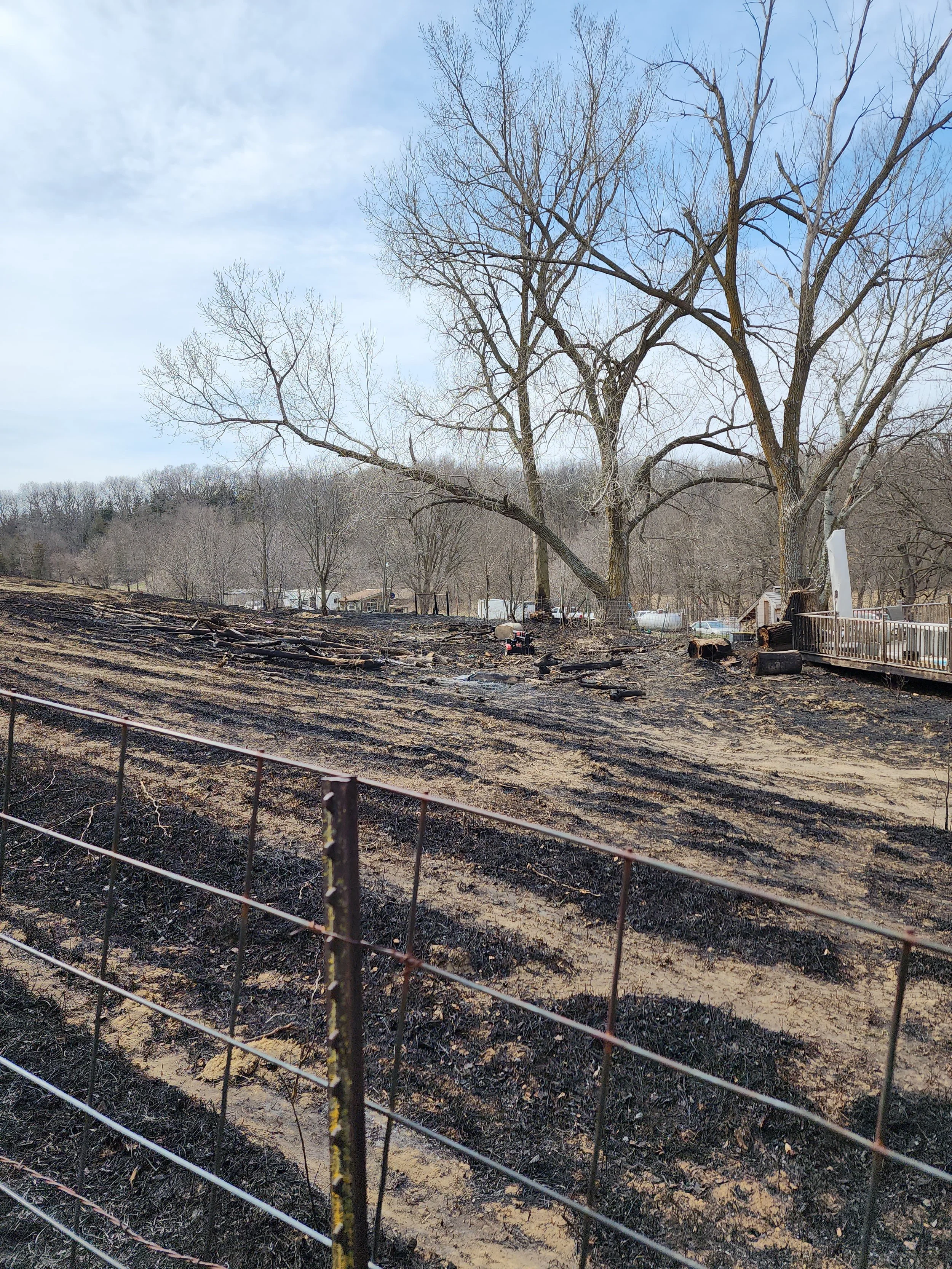 A aftermath of a fire in a backyard showing blackened charred ground, with some charred logs and the background of trees and house structures.