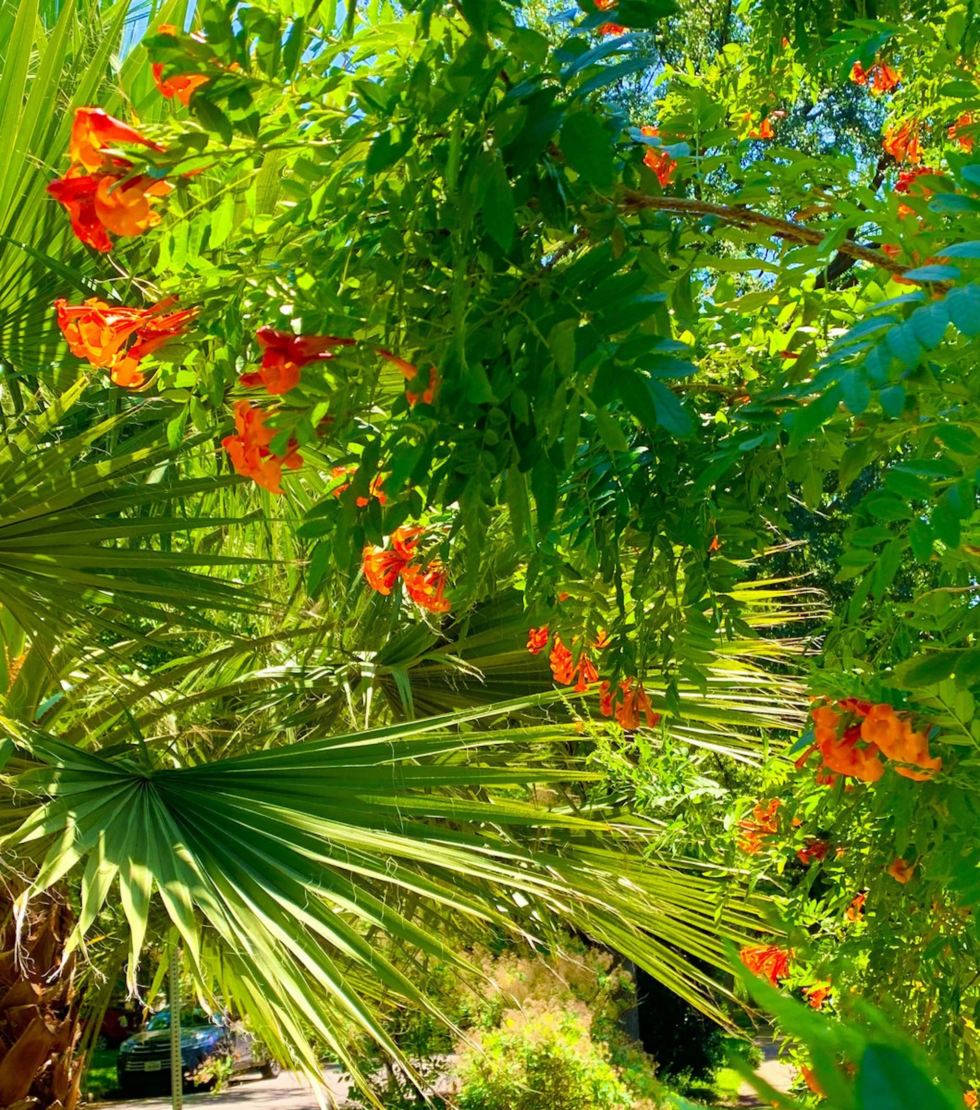 Sun's Out Buns Out:
Pool Burger Summer Promo Mix