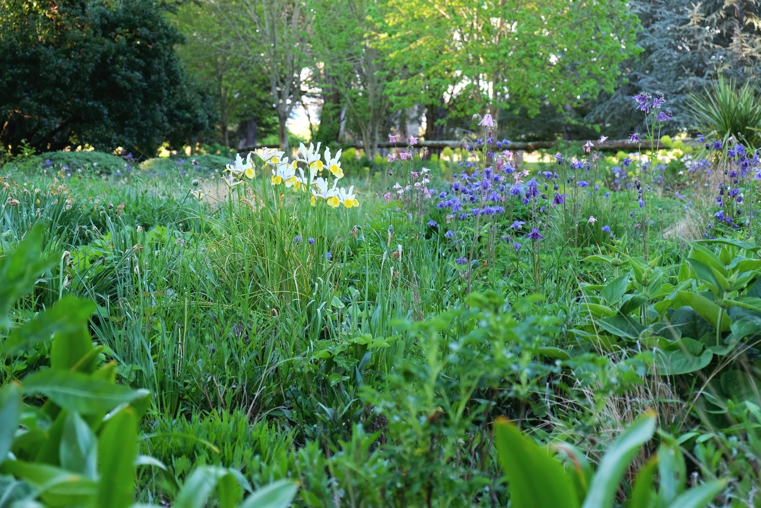 General 1 — Flaxmere Garden