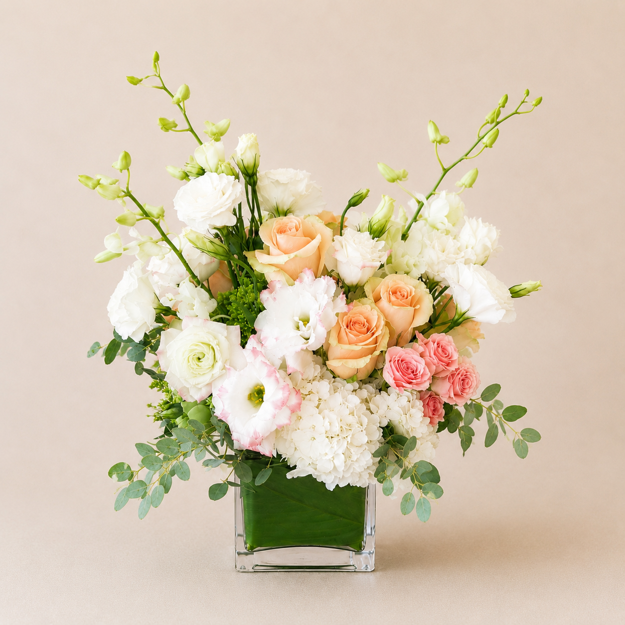 The Solana Arrangement (New)
