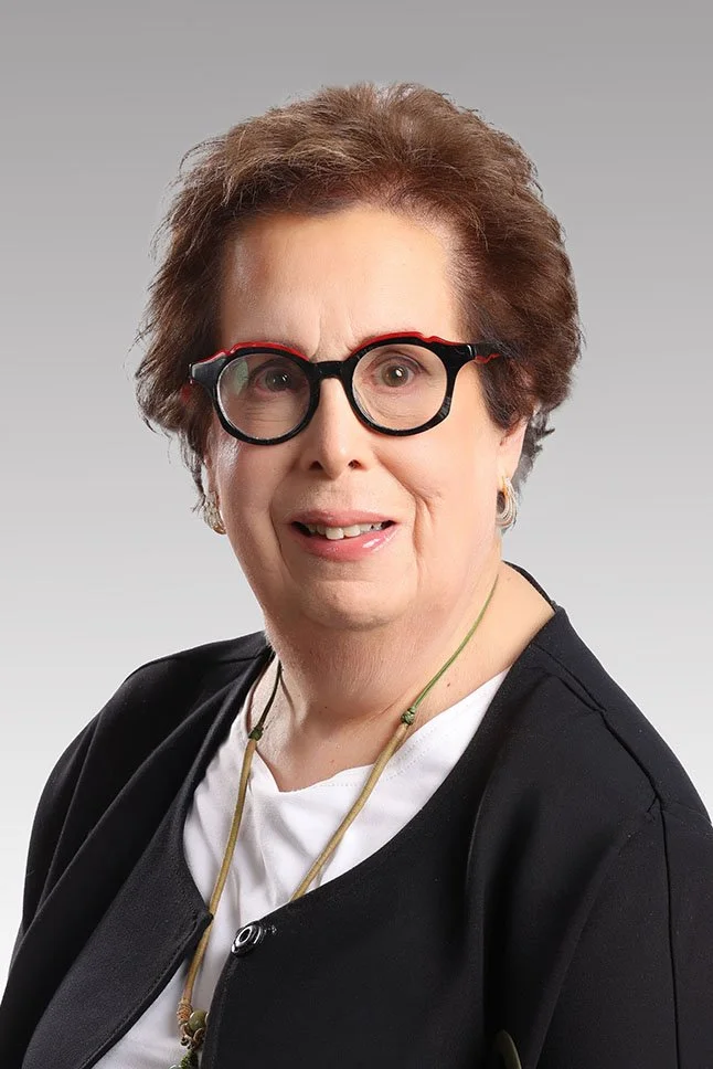 Ilene E. Shapiro, Divorce and Family Law, Grund Law