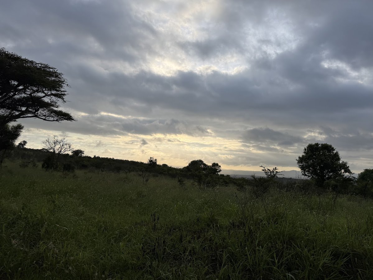 IMG_0704.jpeg