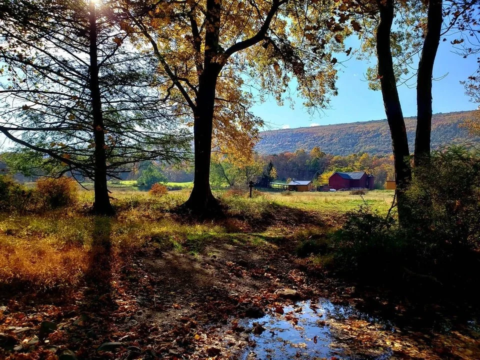 barn-valley.jpg