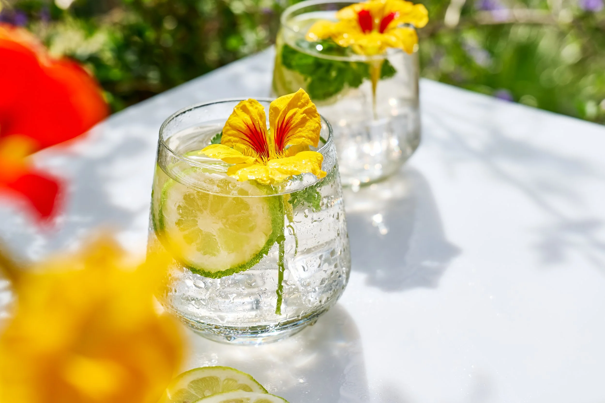refreshing-drinks-with-lime-and-yellow-flowers-2026-01-08-06-24-21-utc.jpg