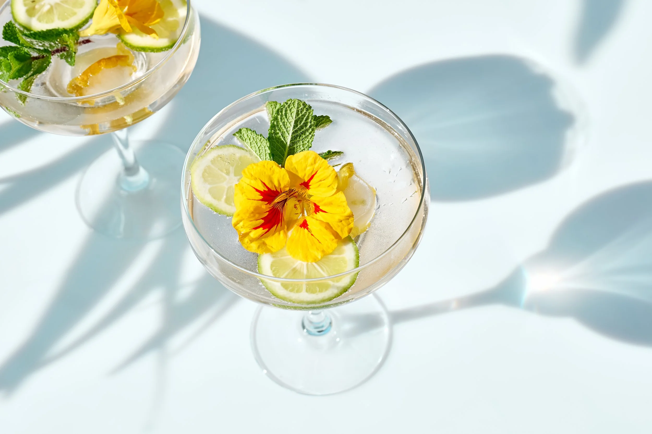refreshing-citrus-drink-with-flower-and-mint-2026-03-19-09-30-47-utc.jpg