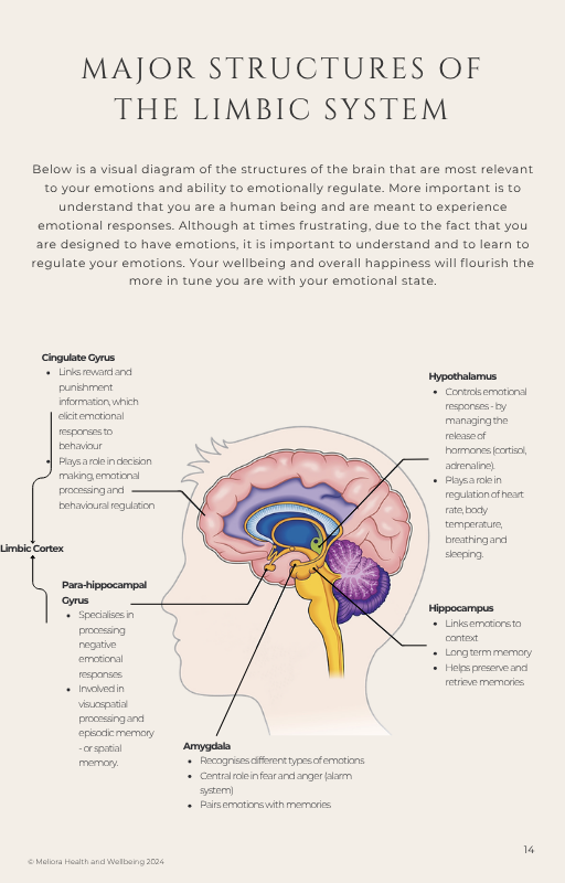14 Emotions  Ebook.png