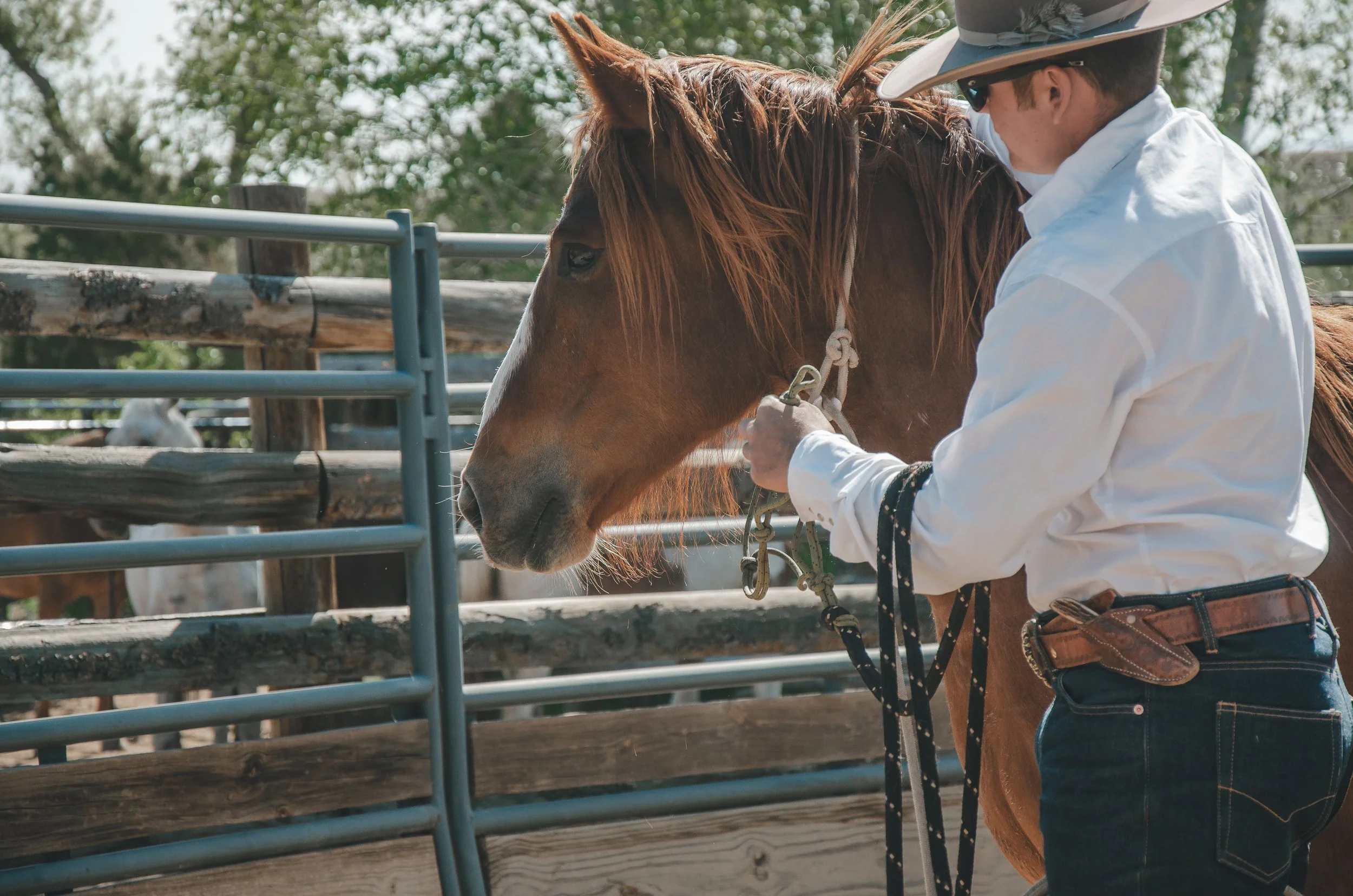 A person wearing a white shirt, jeans, a cowboy hat, and sunglasses is holding the reins of a brown horse with a reddish mane at a fenced riding area. Trees are visible in the background.