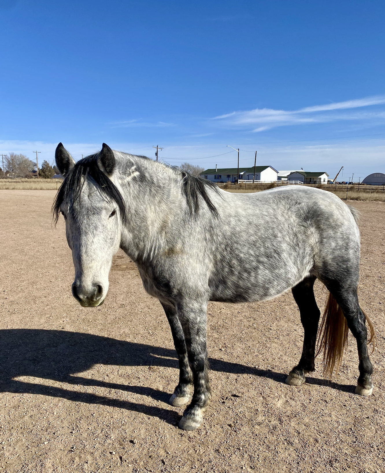 Screenshot 2026-02-10 at 2.13.49 PM.png