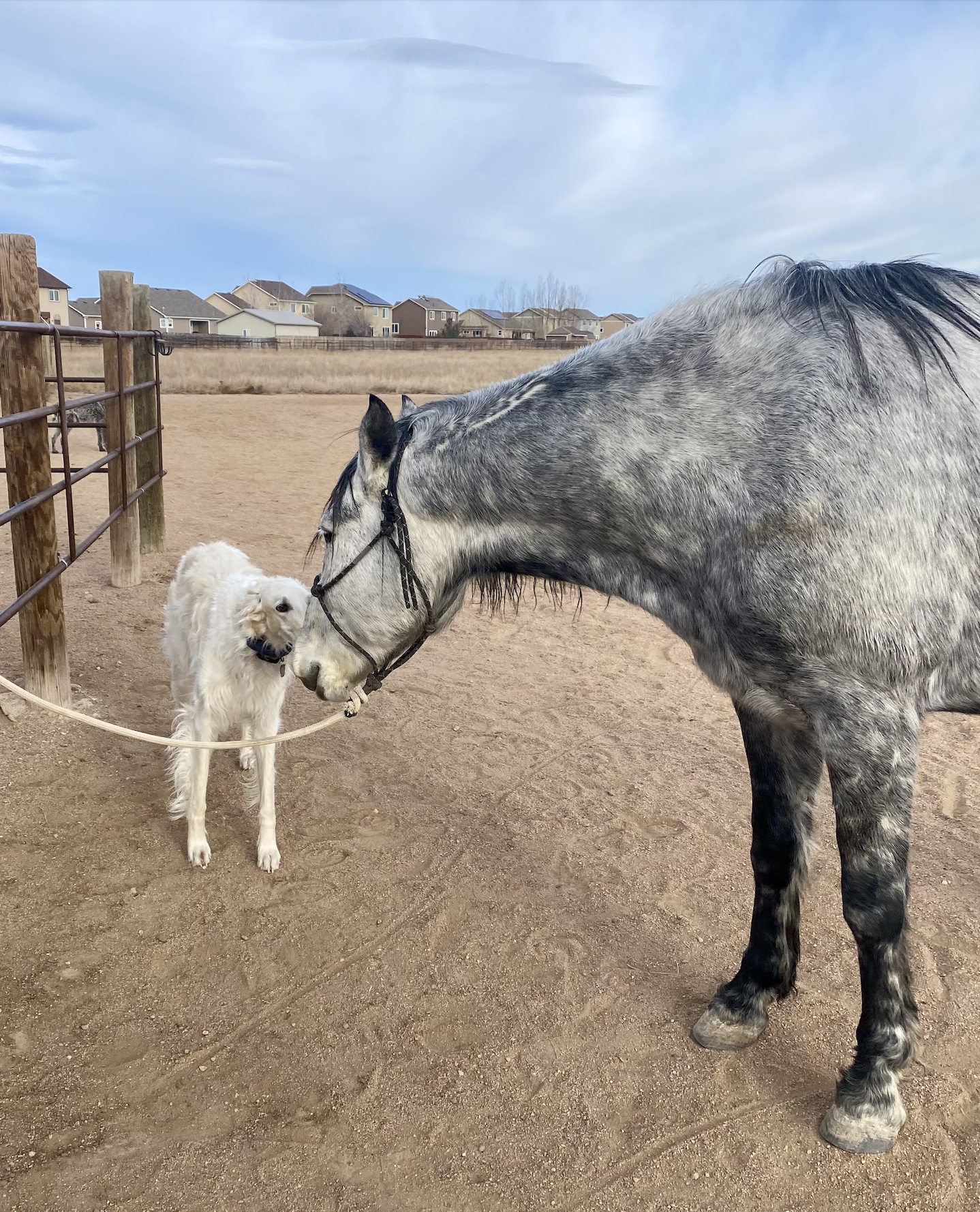 Screenshot 2026-02-10 at 2.14.03 PM.png