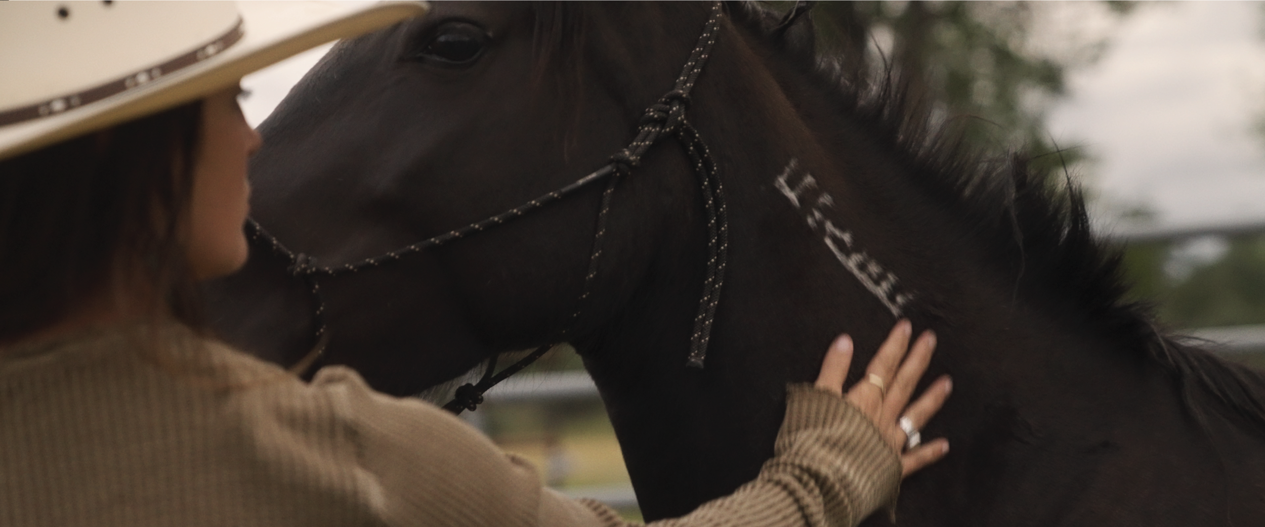 A person gently touching a black horse's neck, with the person wearing a tan sweater and a ring on their finger. The horse is wearing a rope bridle and is outdoors.