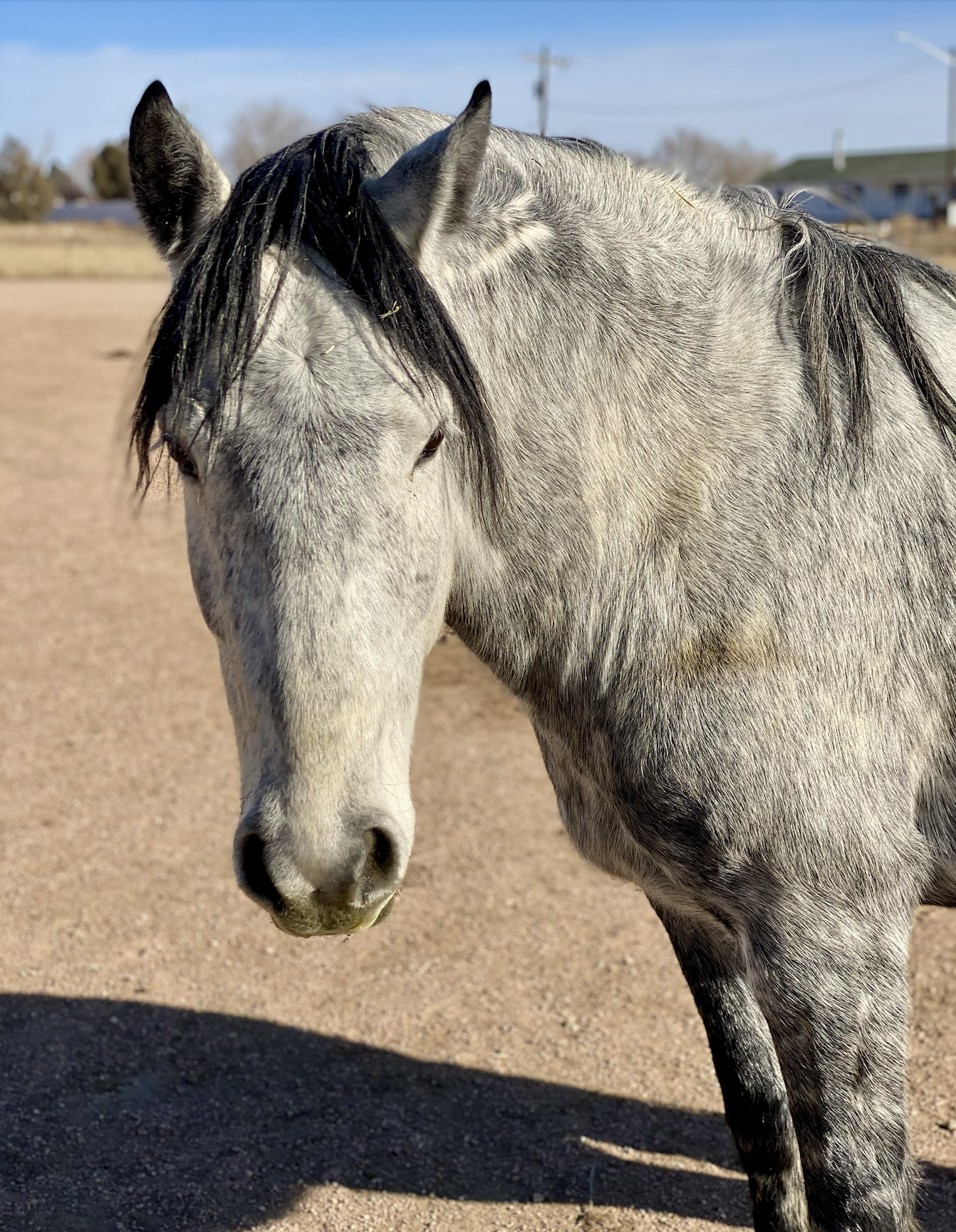 Screenshot 2026-02-10 at 2.13.56 PM.png