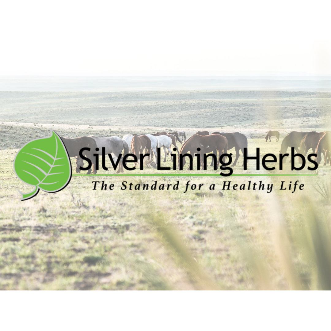 Silver Lining Herbs and Great Escape Mustangs