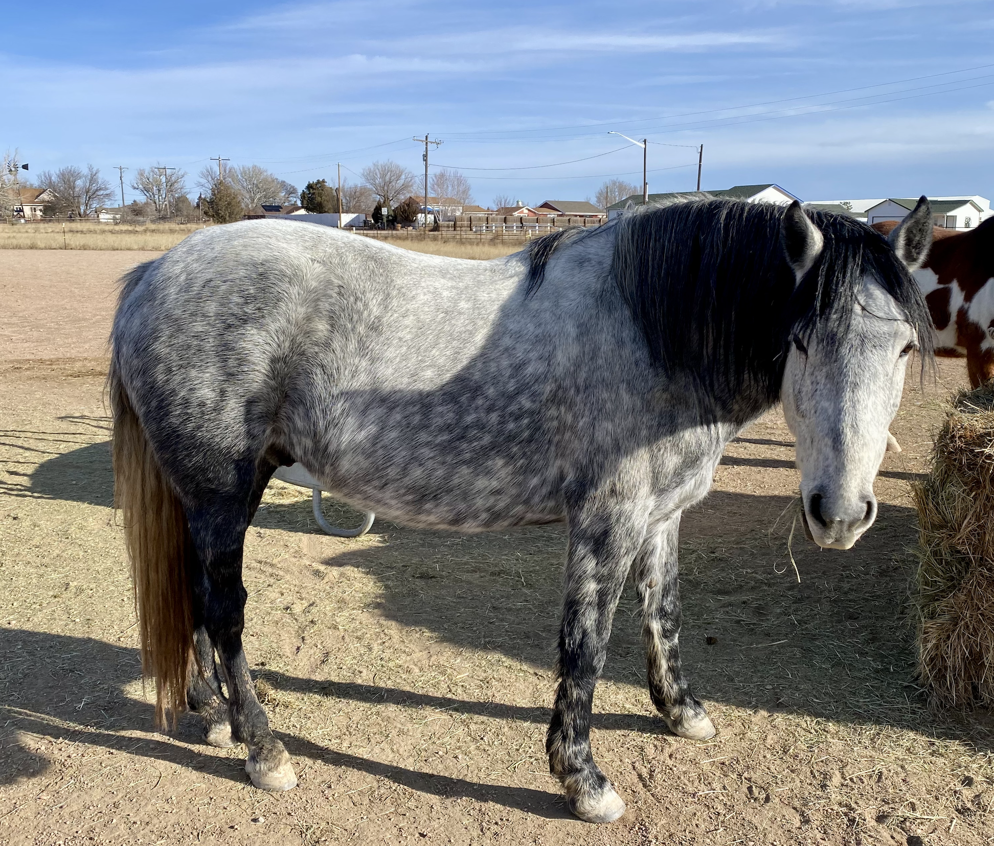 Screenshot 2026-02-10 at 2.13.37 PM.png