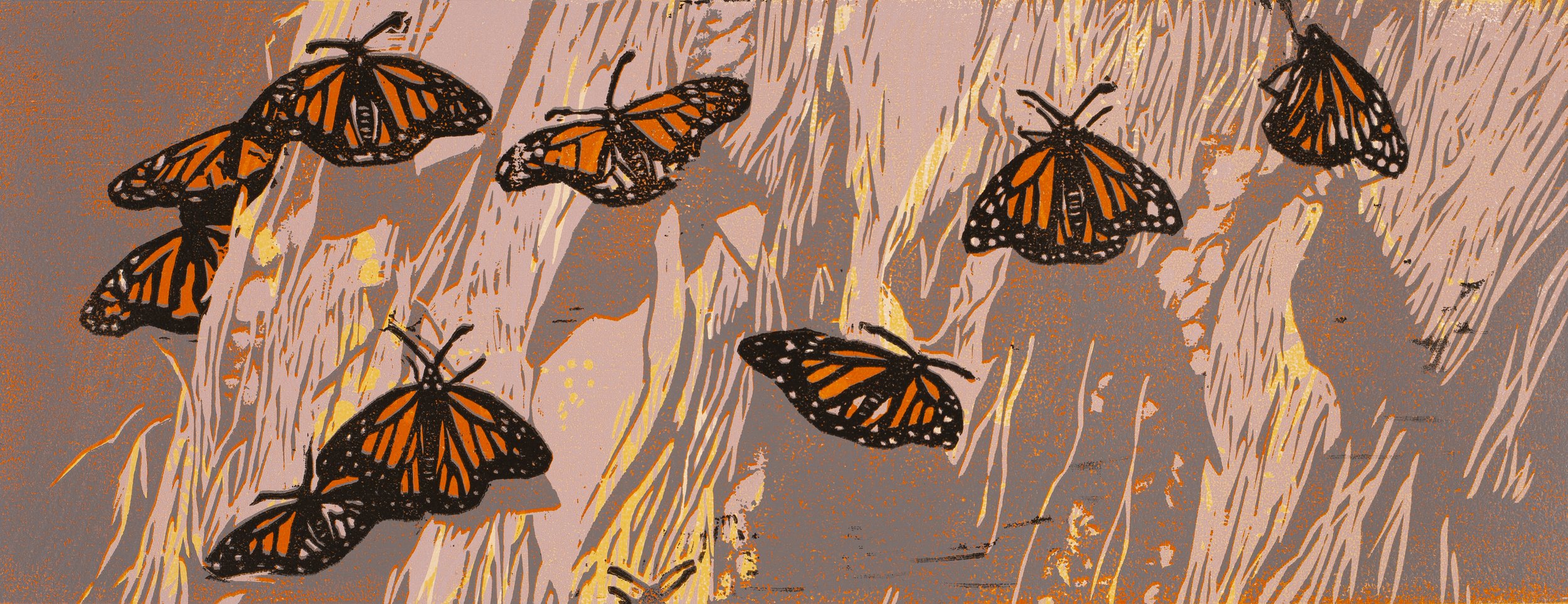 Stucky butterflies.jpg