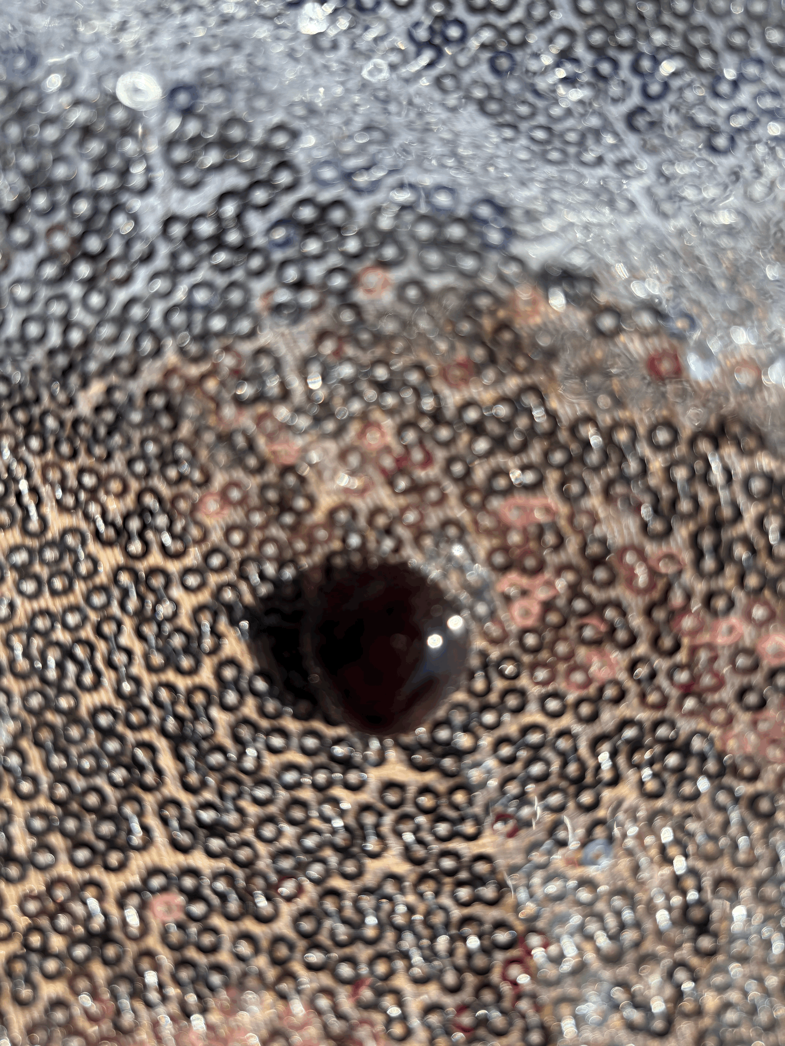 tempImage82NYtr.gif