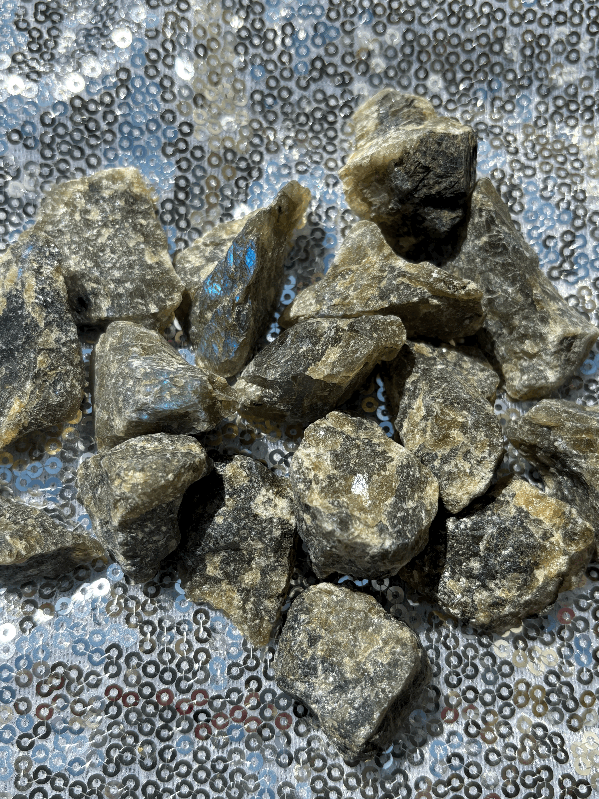 tempImagev8OeL1.gif