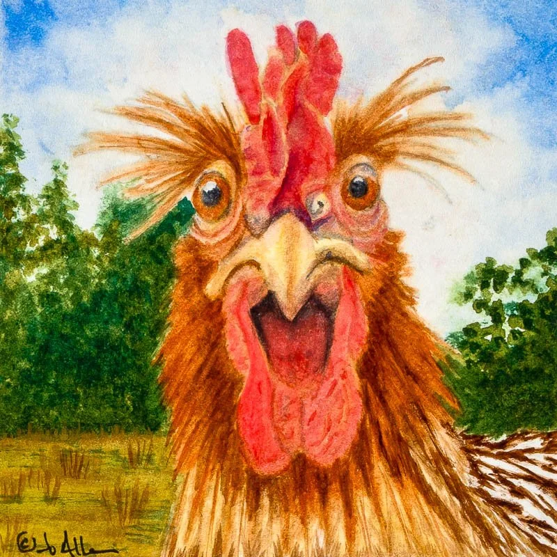What the Cluck!?! - Cards and Prints Only