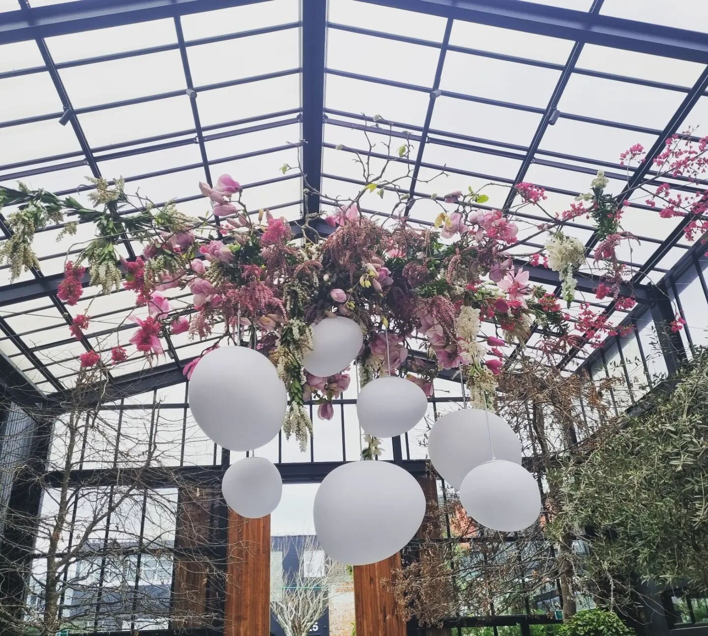 Spring has arrived. 
Hanging installation @glasshouse.nz with @lalumiere_nz beautiful pebble pendants