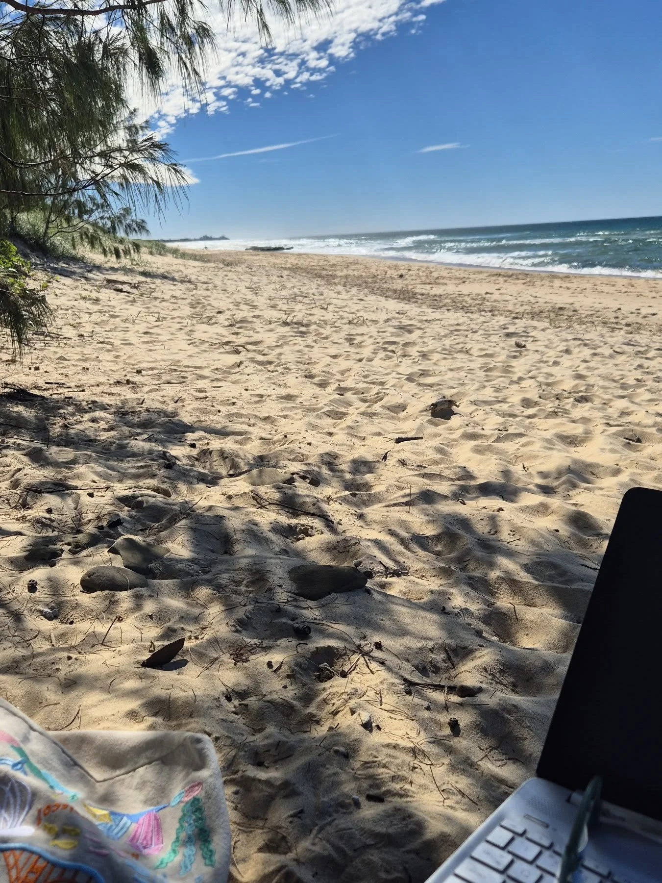 🌞 How to make admin day better... and I might have seen a whale too!! 🐋