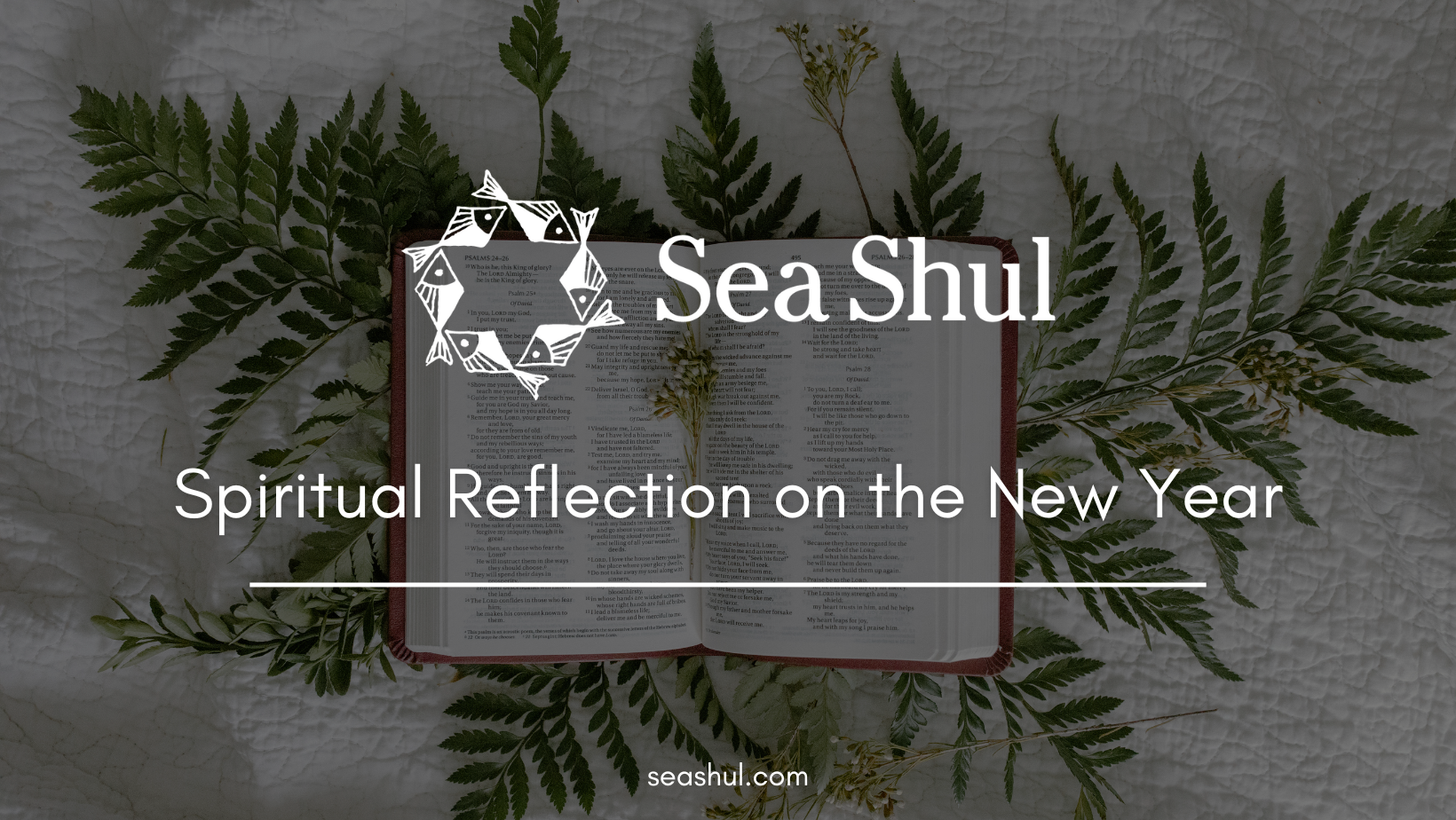 Sea Shul: Spiritual Reflection on the New Year - Sundays