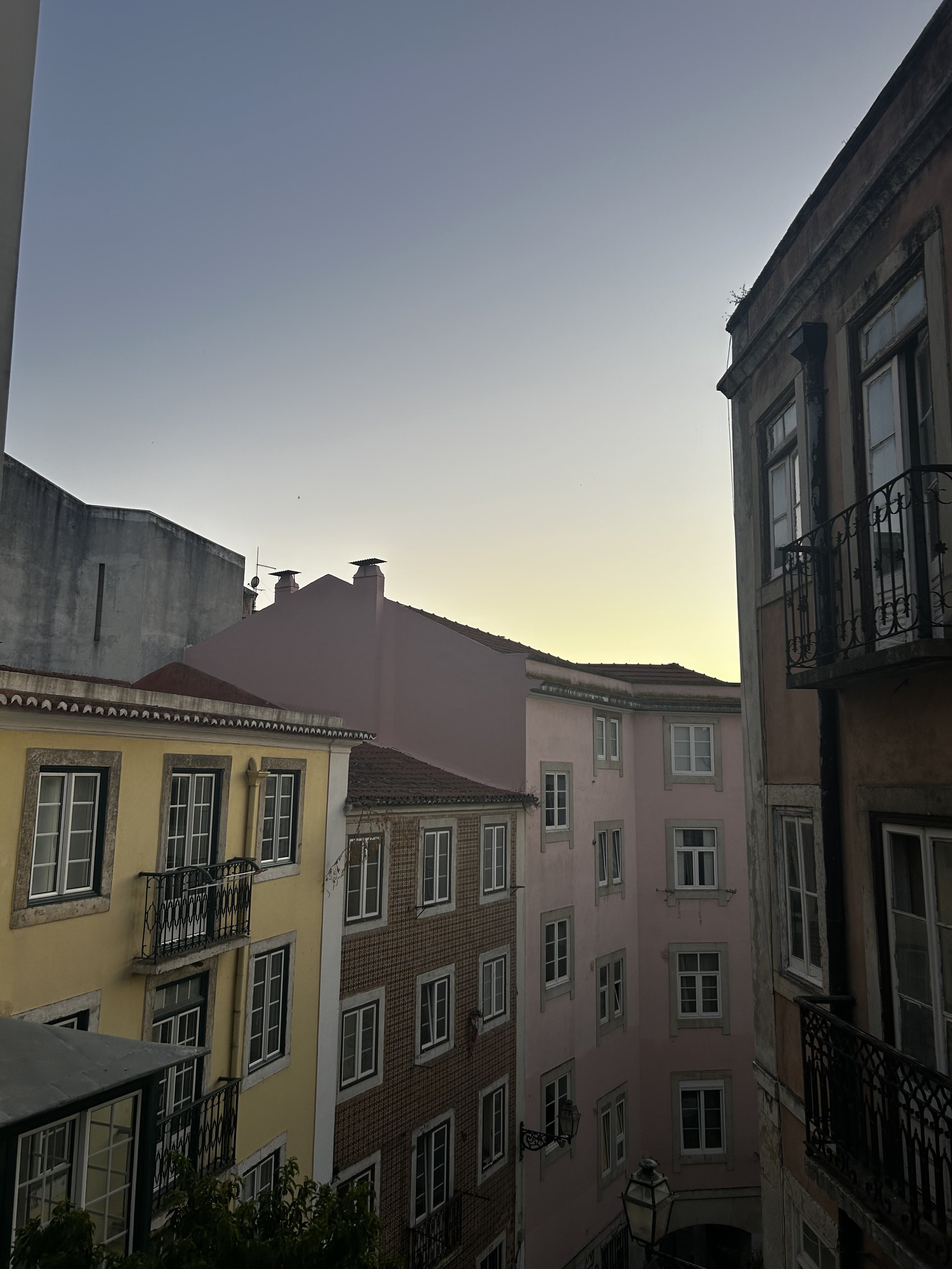 IMG_0745.jpeg