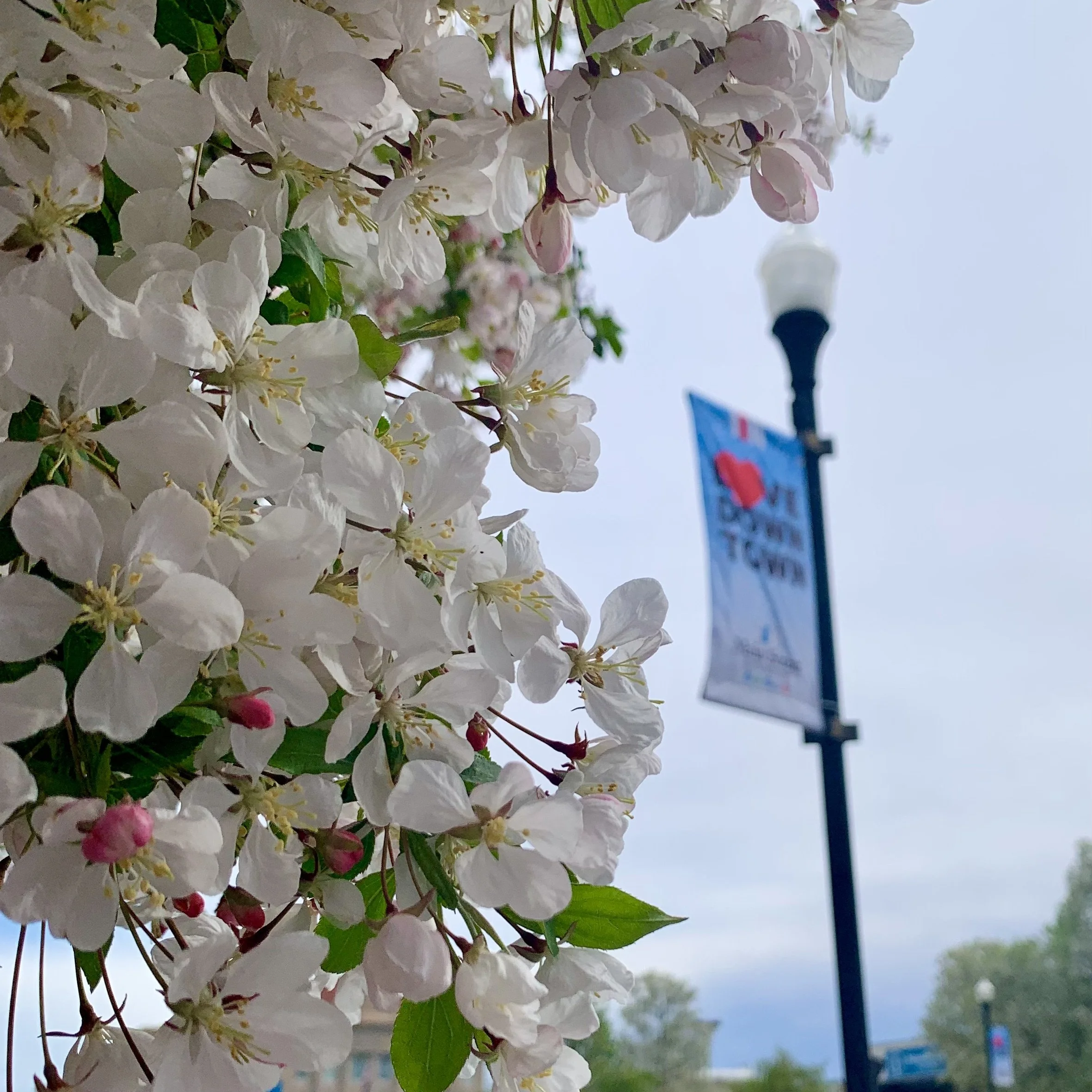 Store — Main Street Chillicothe