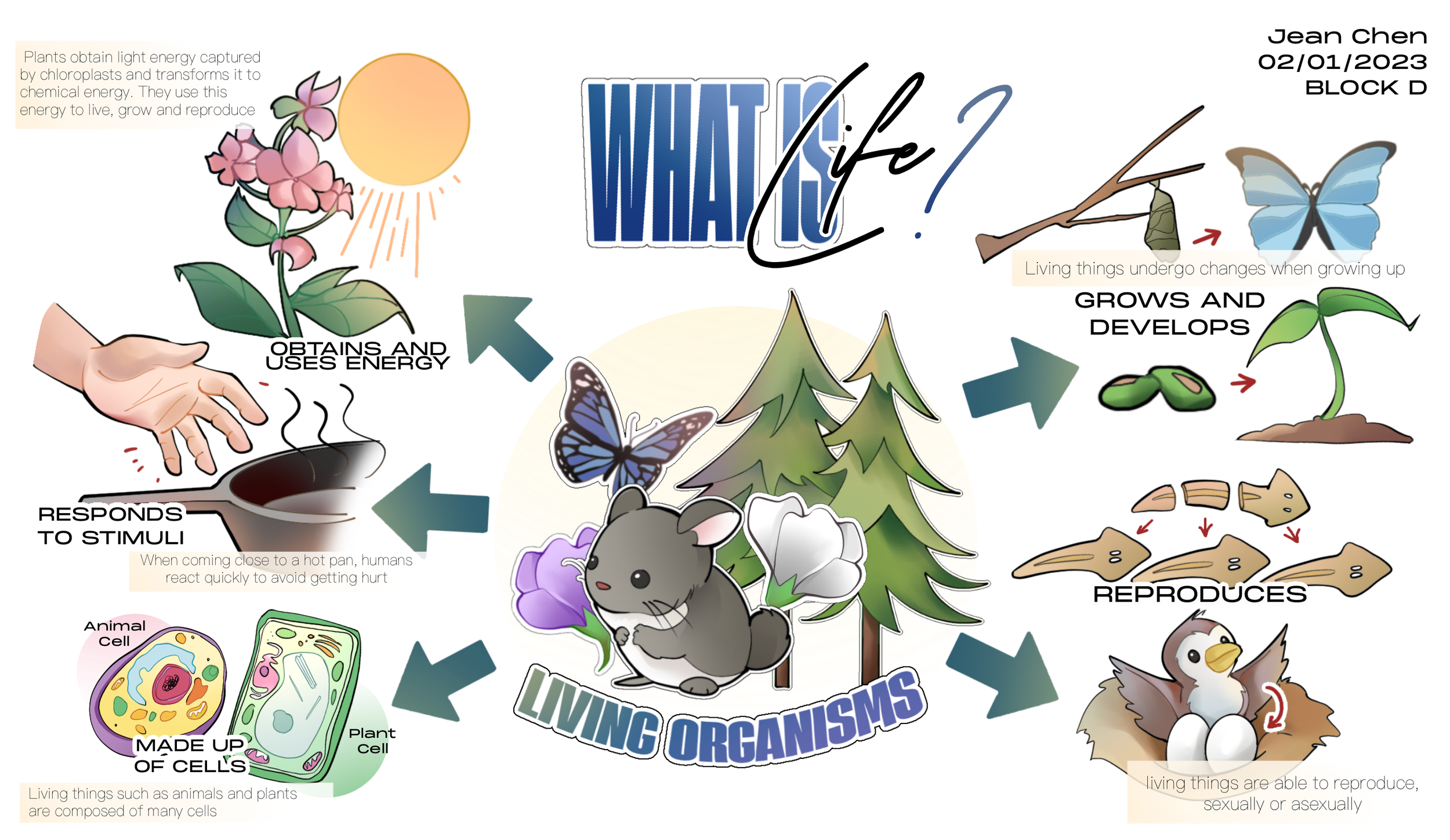 Untitled_Artwork 122.png