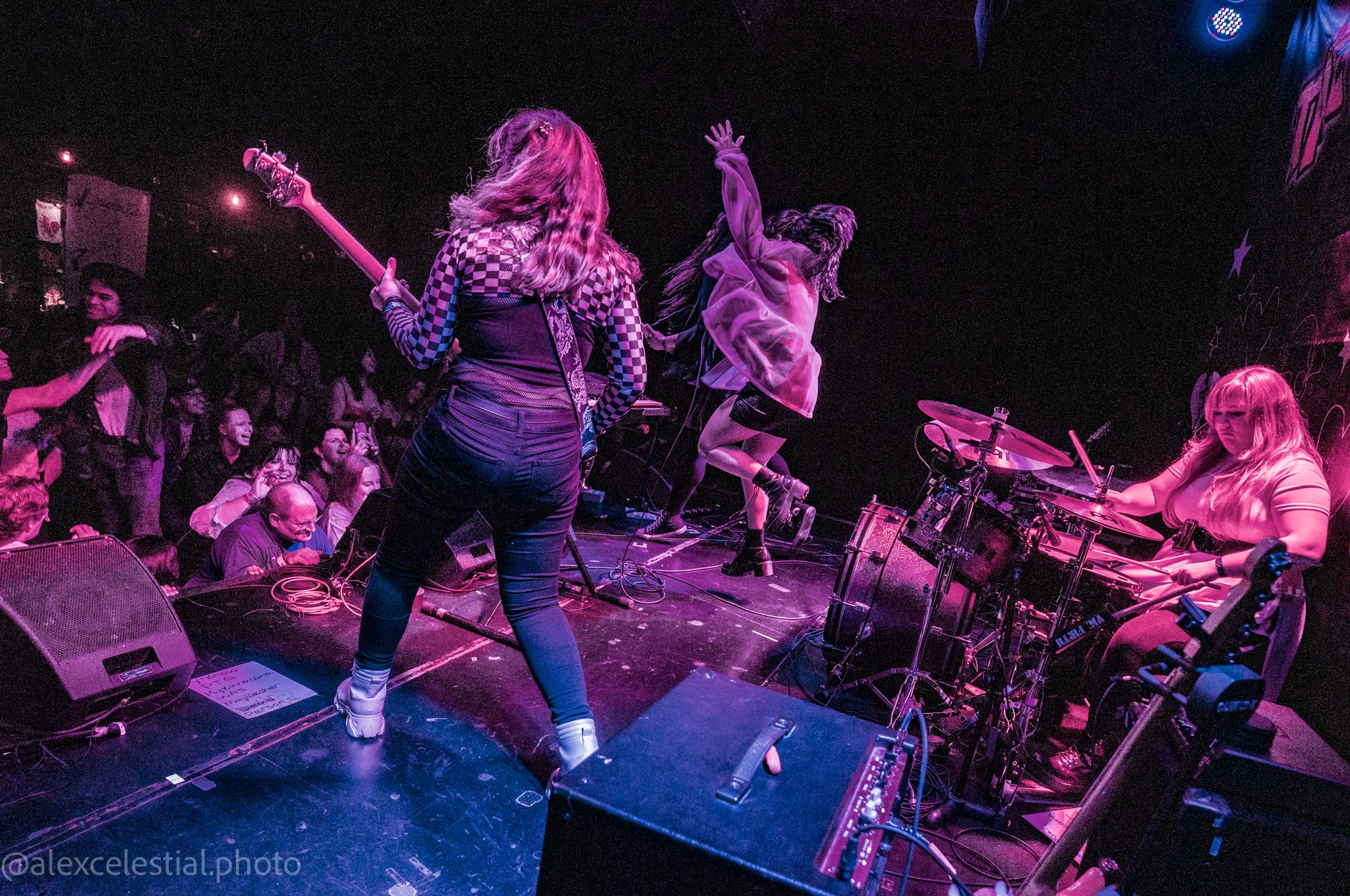 20220310 Celestial - Hoity Toity--57.jpg