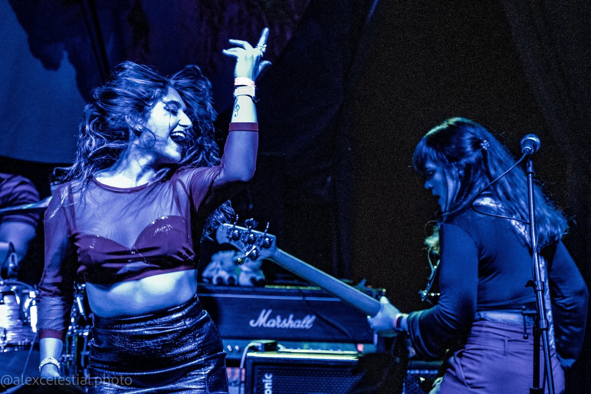 20220416 Celestial - Hoity Toity-01149.jpg