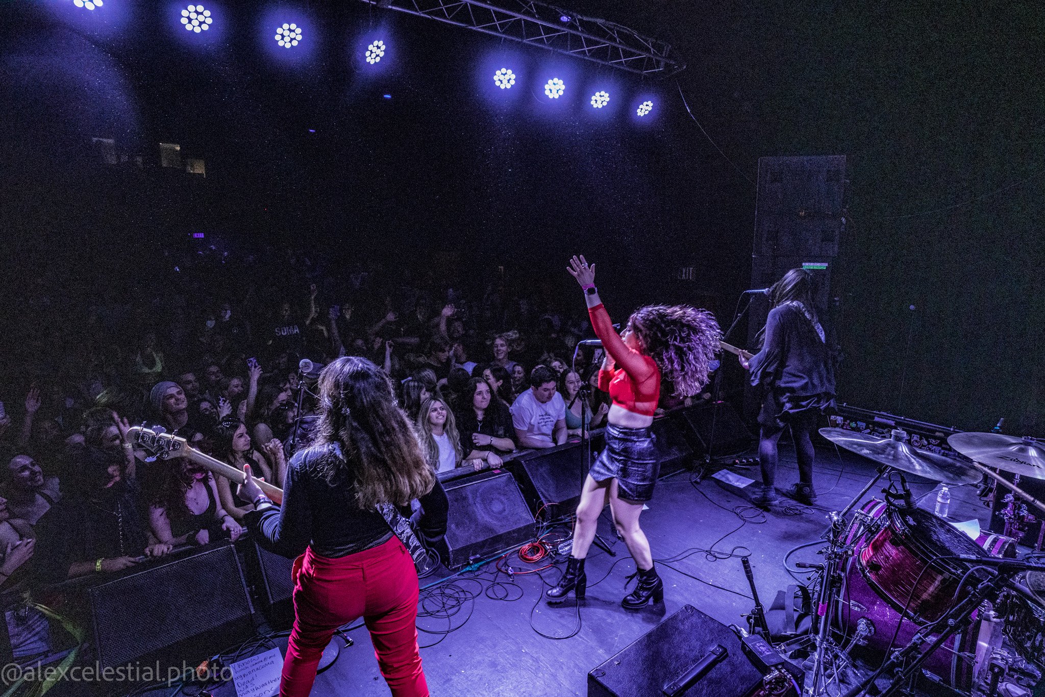 20220416 Celestial - Hoity Toity-02090.jpg