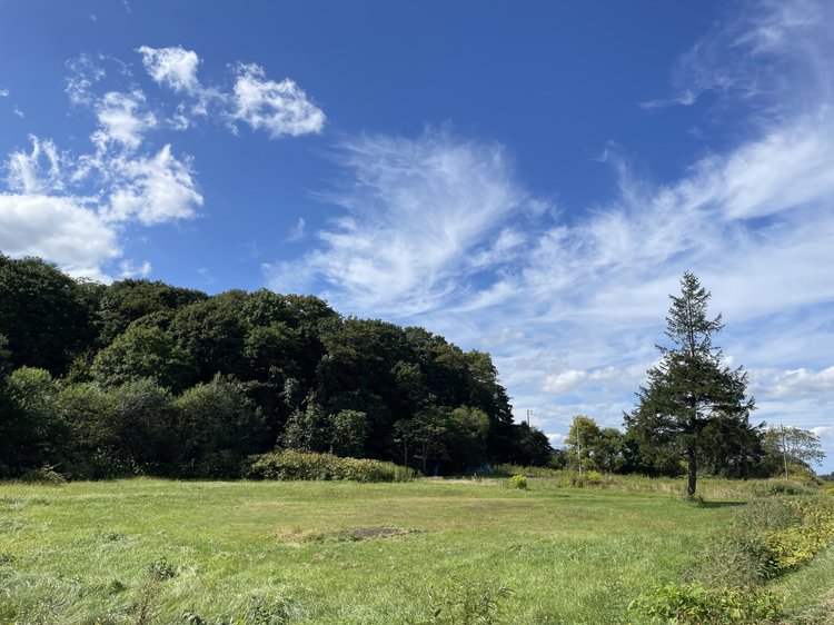 京極町 開発用地