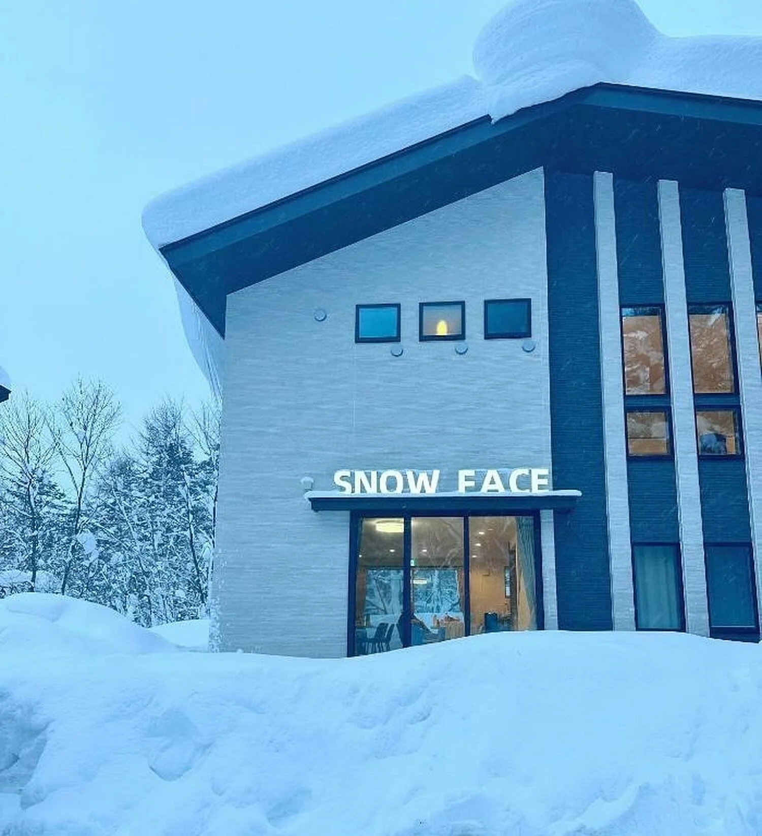 Snowface-SnowyEntrance.jpg