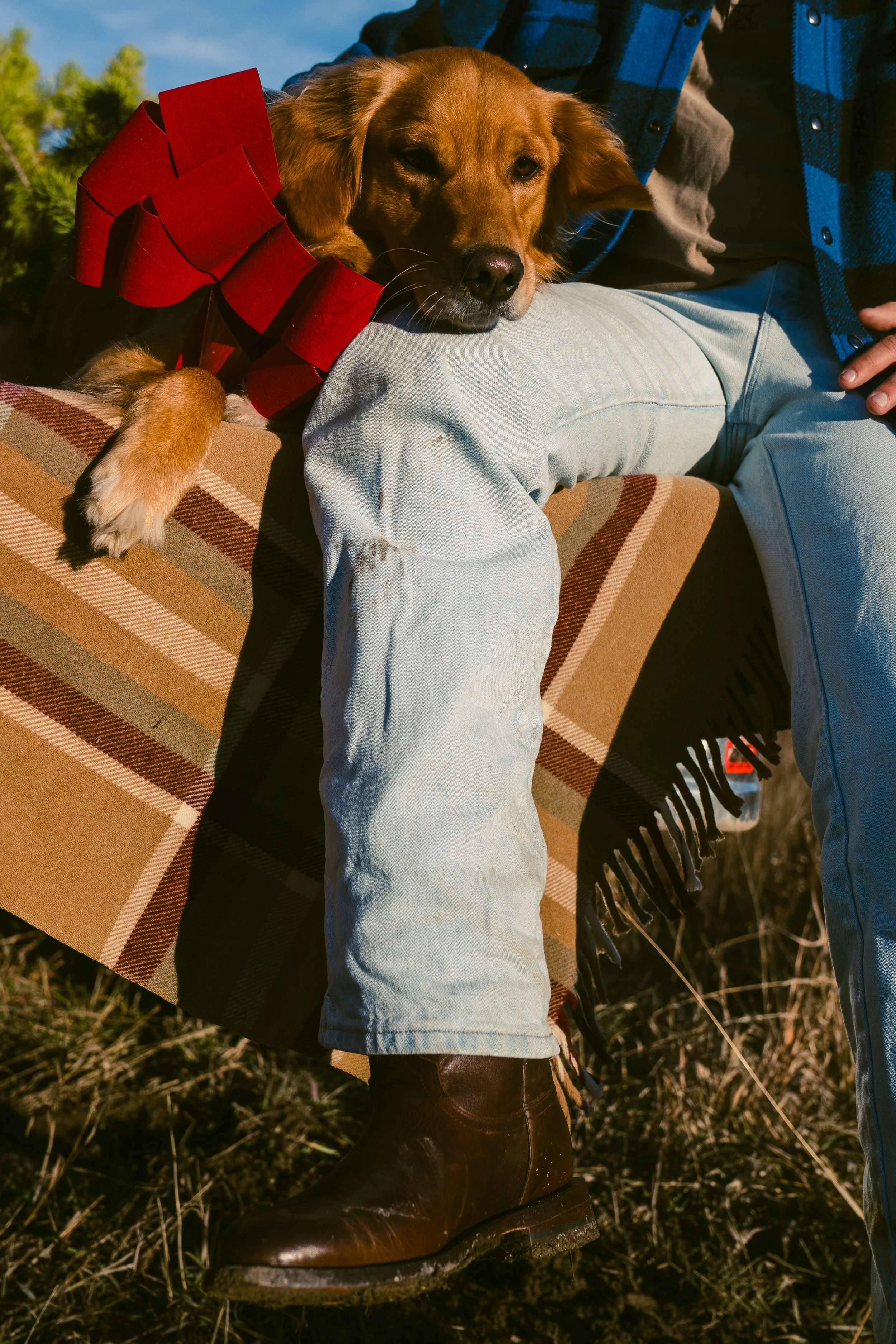 Double B_Christmas 2025-60.jpg