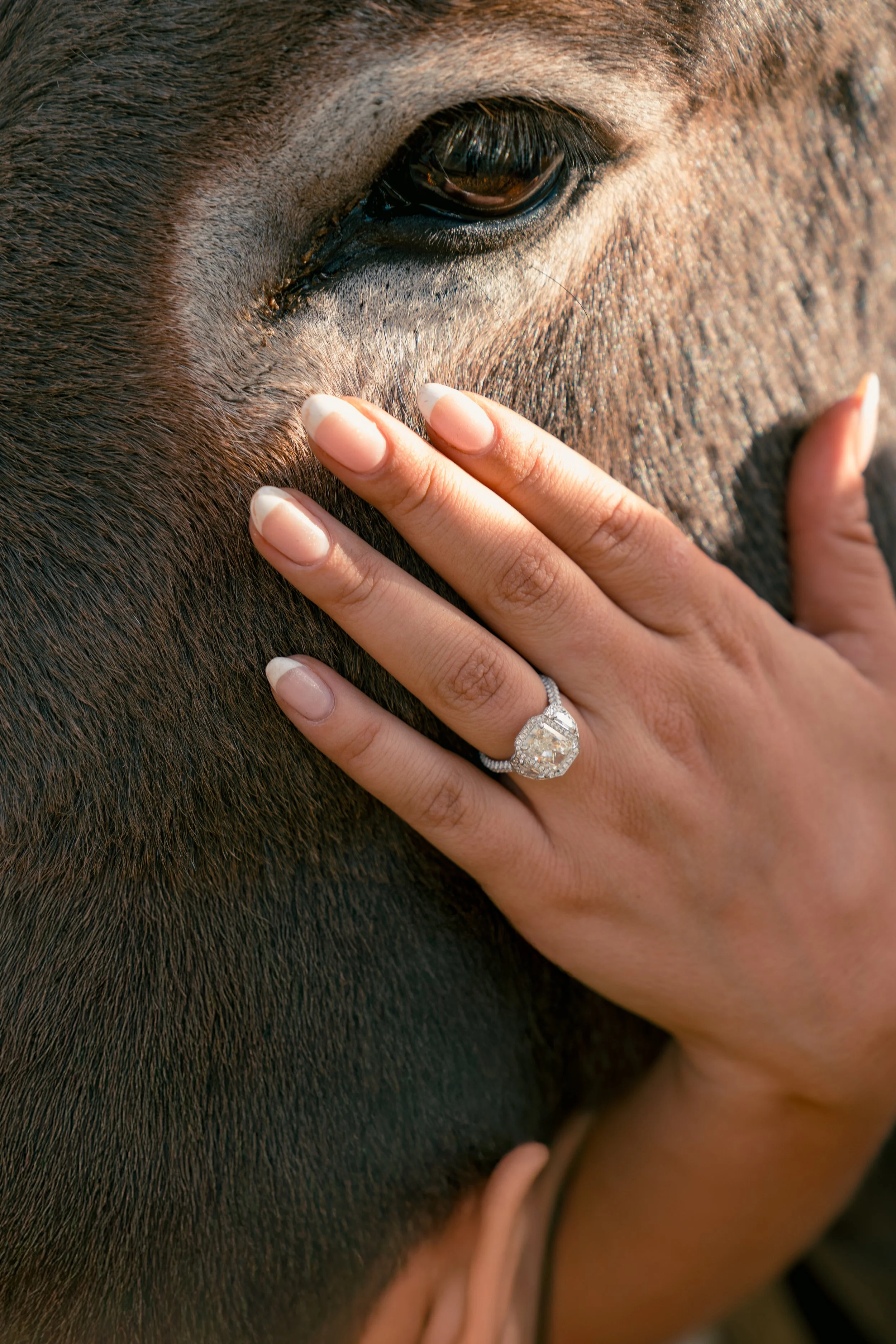 V&M_August 2025-138.jpg