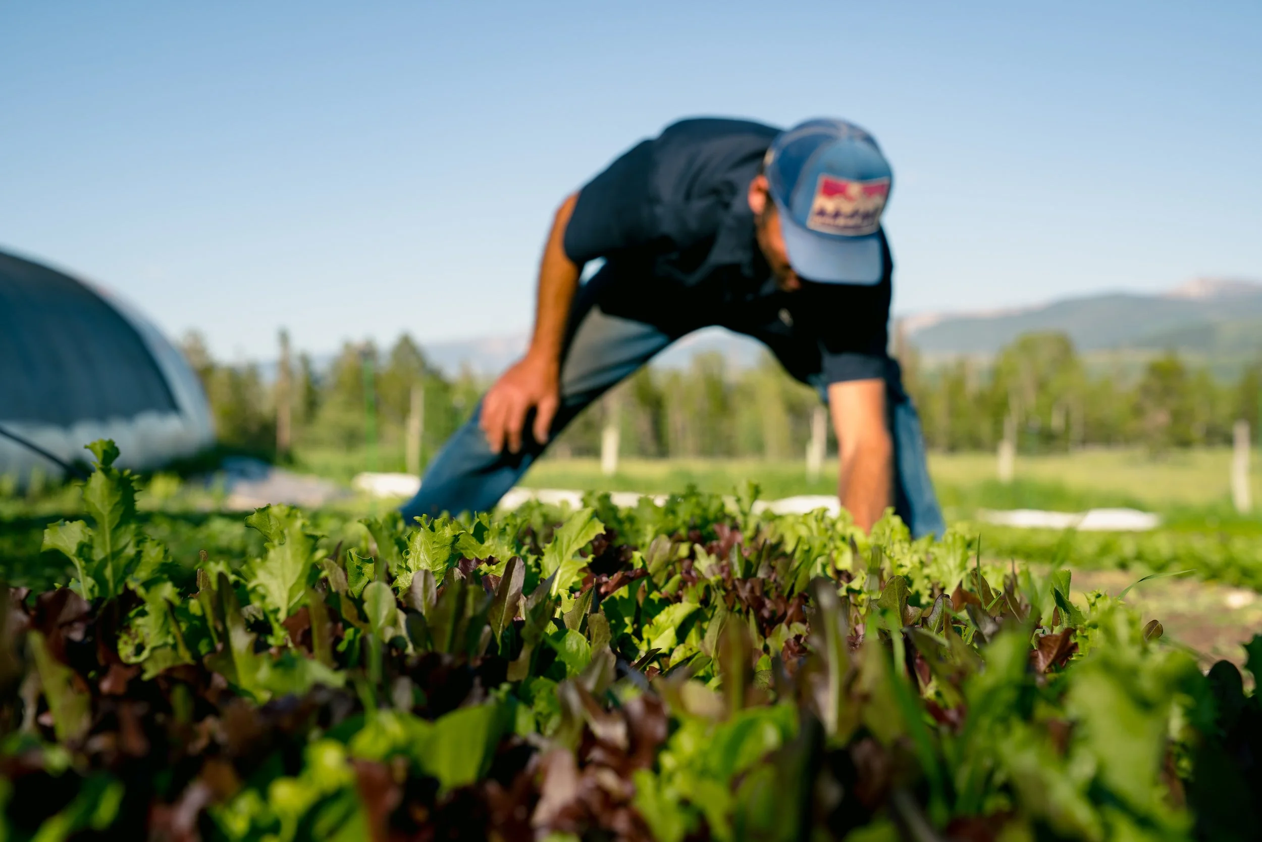 Huidekoper Ranch 2025-3.jpg