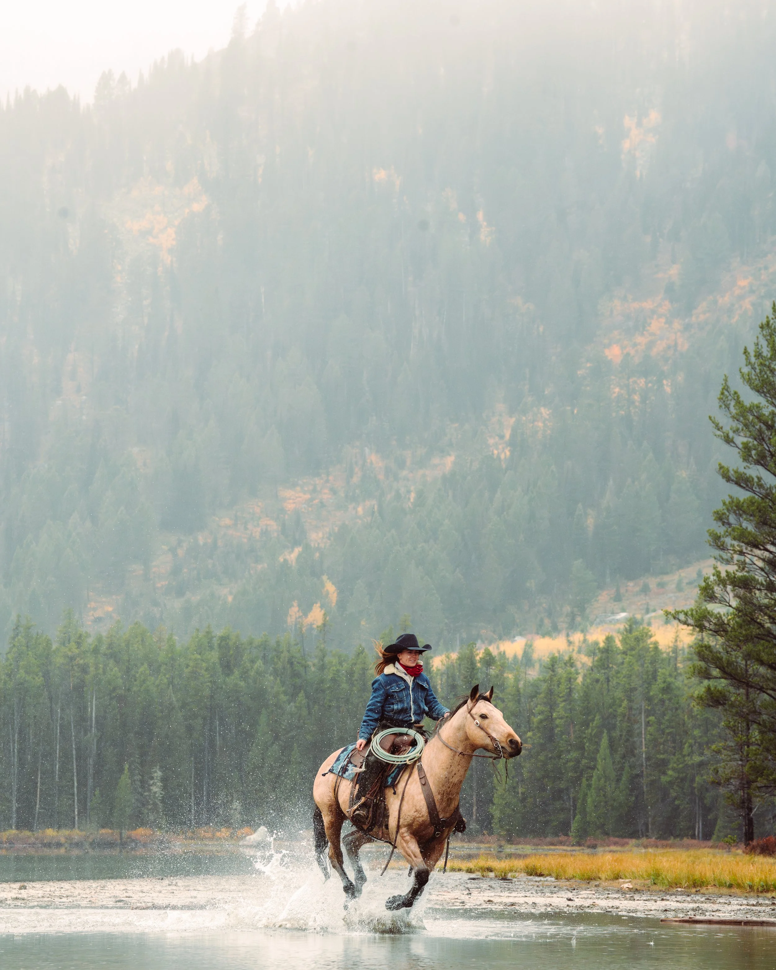 A woman riding a horse through a shallow river with a forested mountain in the background.