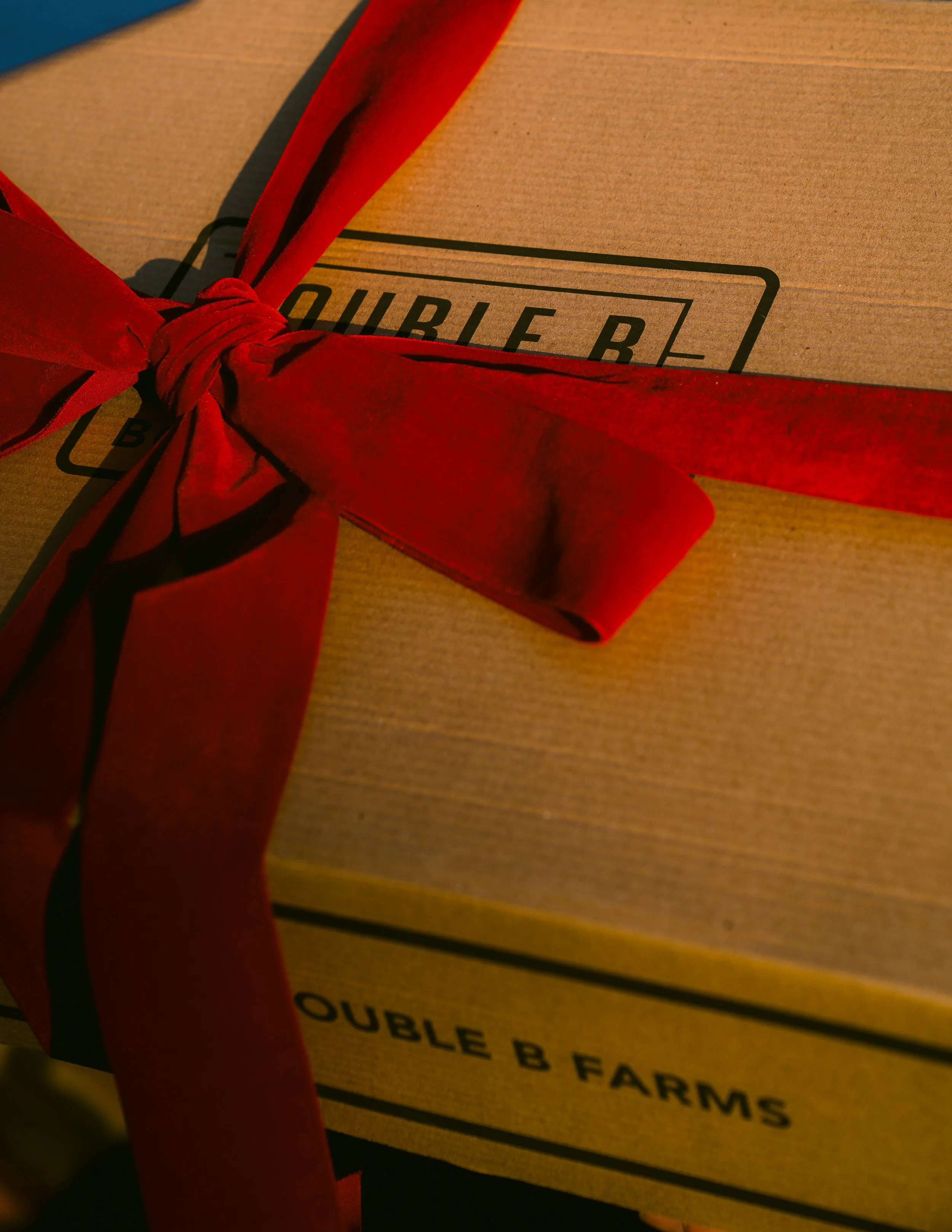 Double B_Christmas 2025-50.jpg