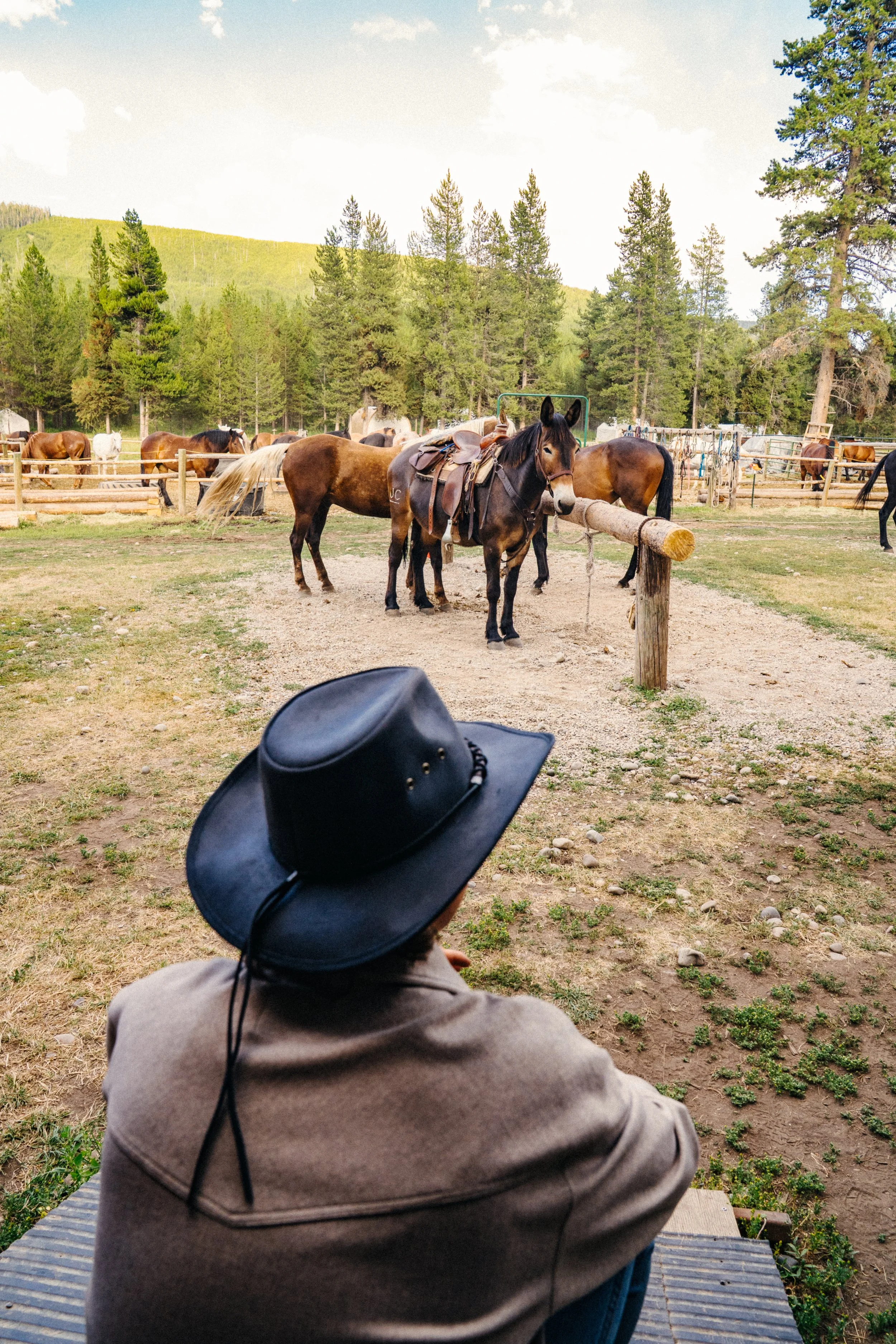 Outback Trading Co_Fall 2026 Catalog_High Res-40.jpg