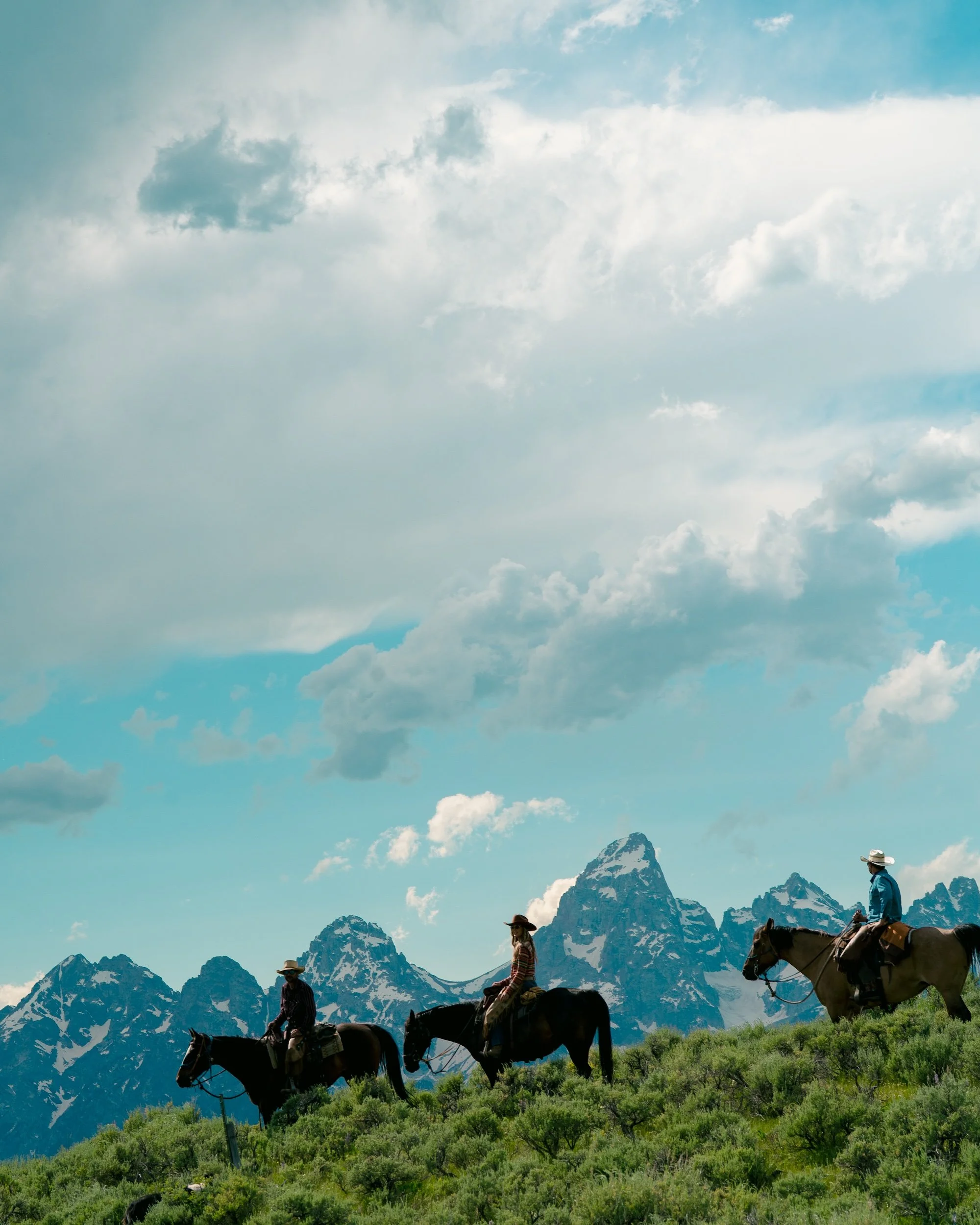 Best seat in the house.jpg