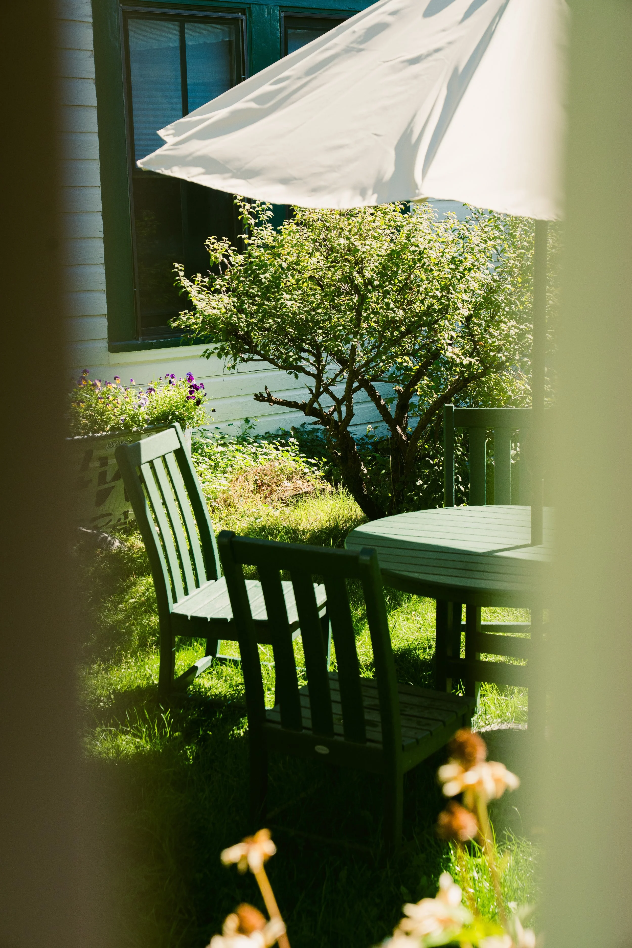 Chico Hot Springs-web size.jpg