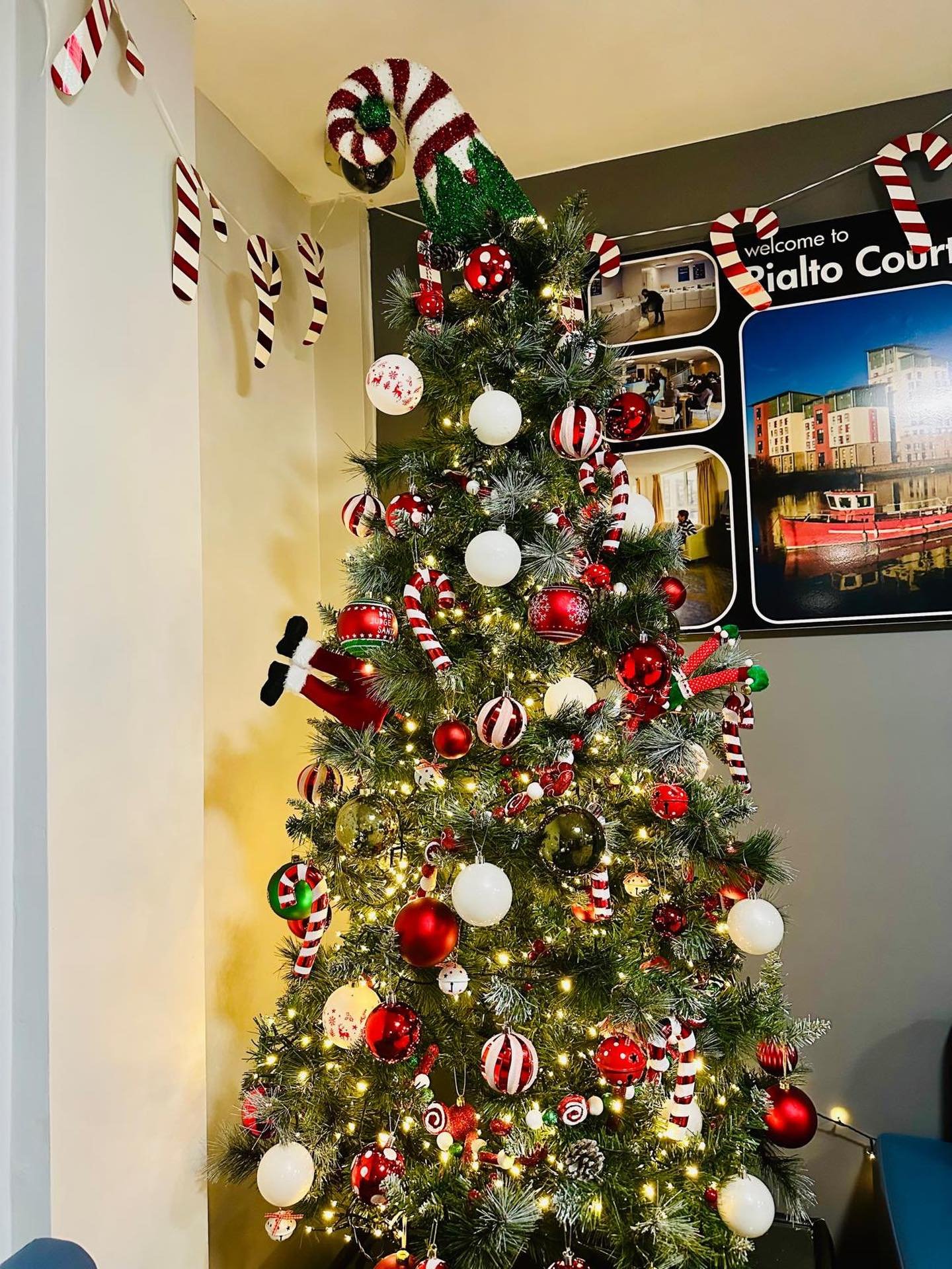 Christmas has come to Rialto 🎄  Join us on Monday 1st December for Hot Chocolate